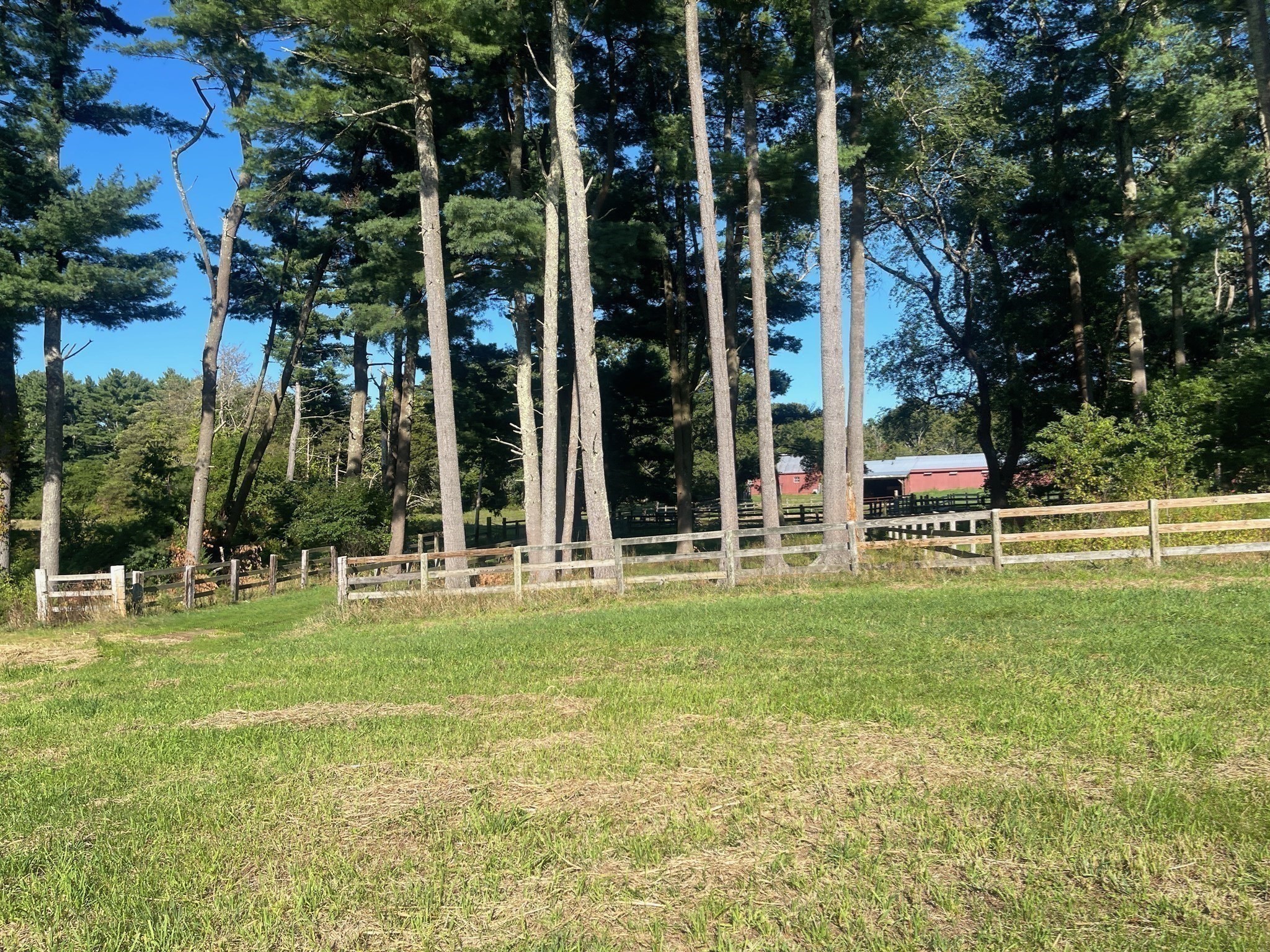 main property photo 8
