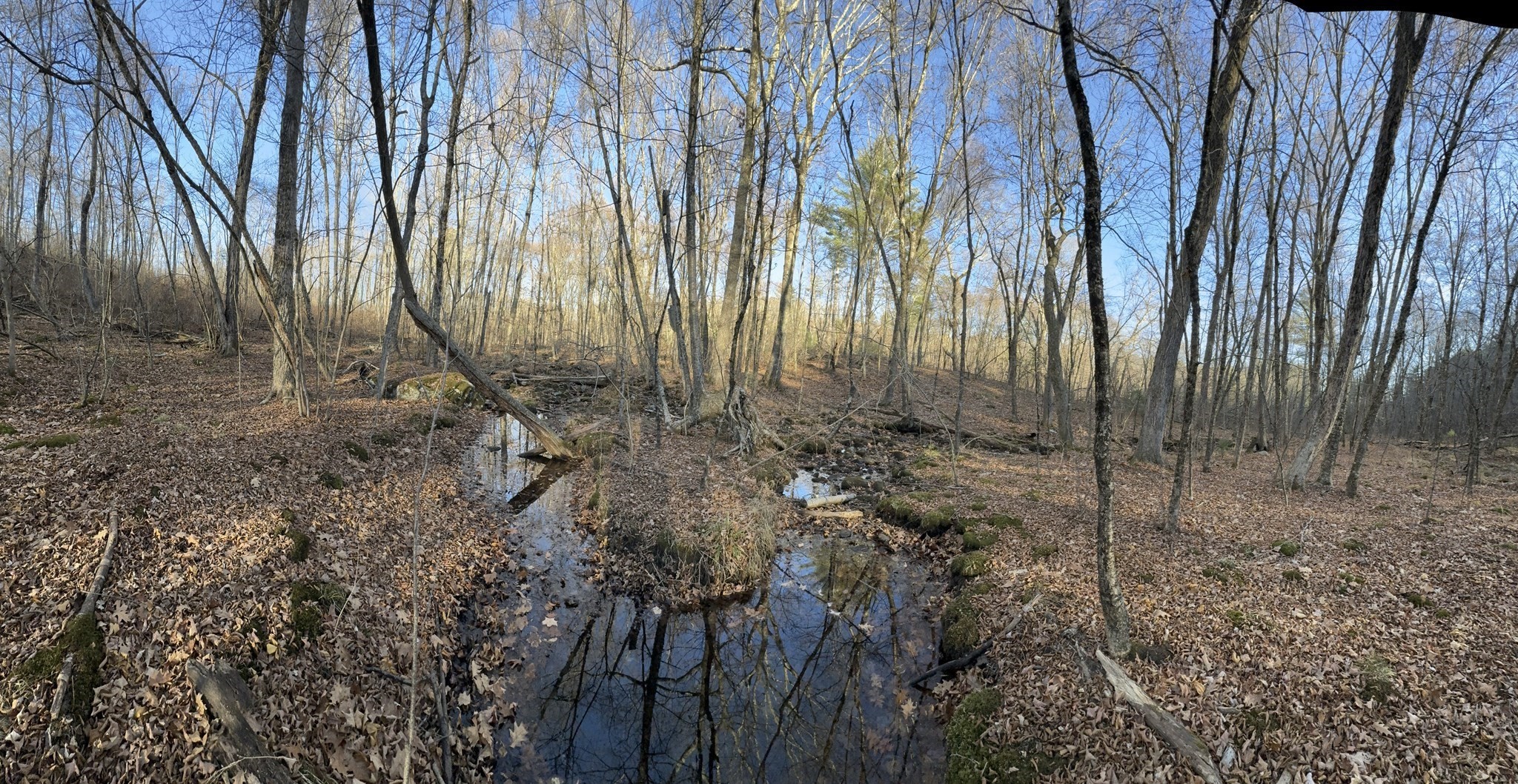 main property photo 15