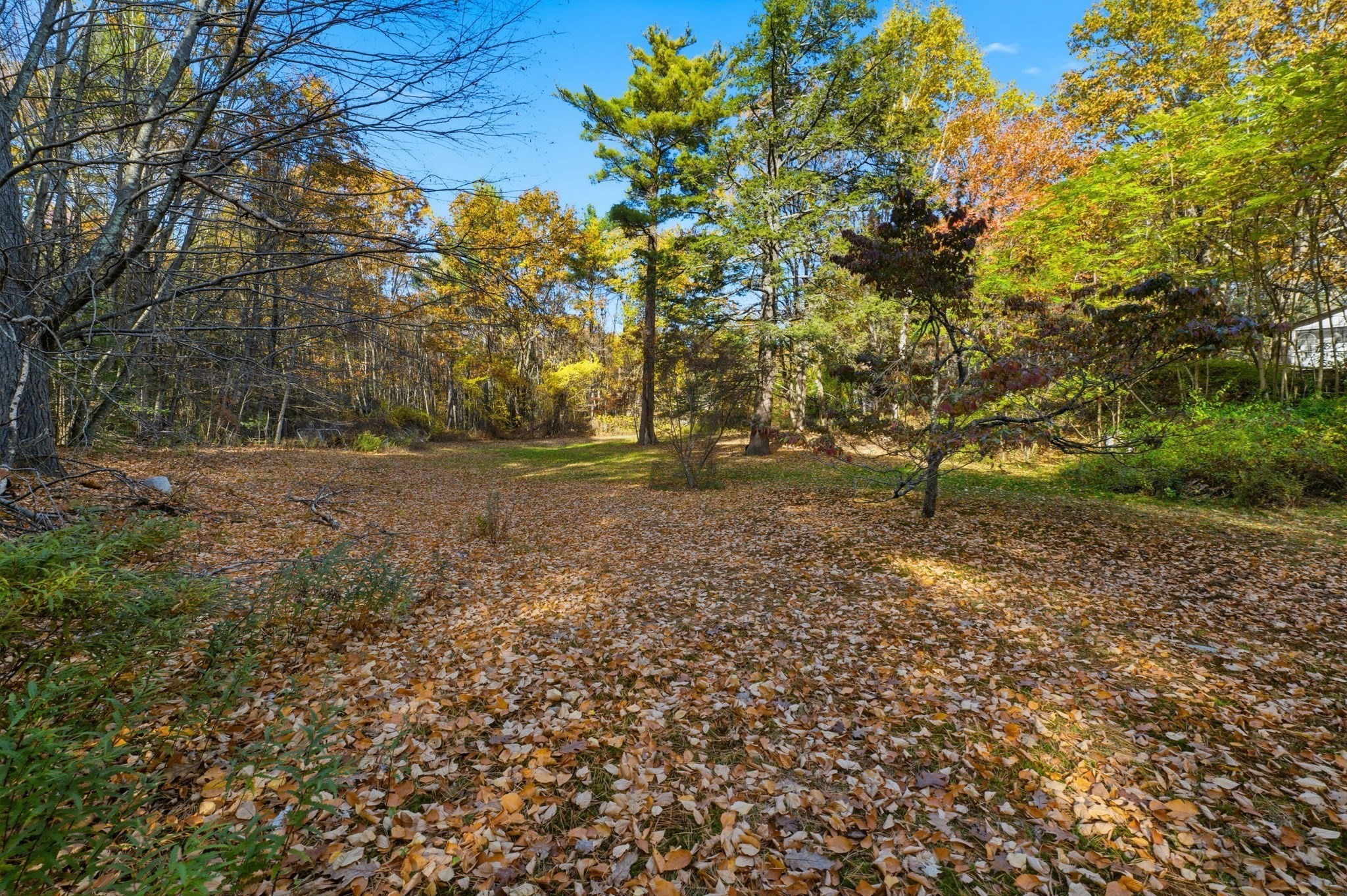 main property photo 11