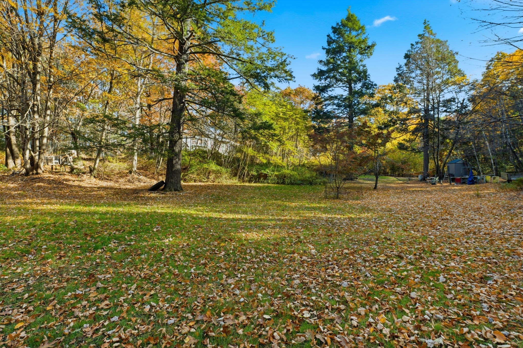 main property photo 13