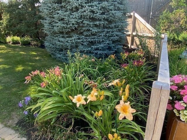 property viewer photo 28