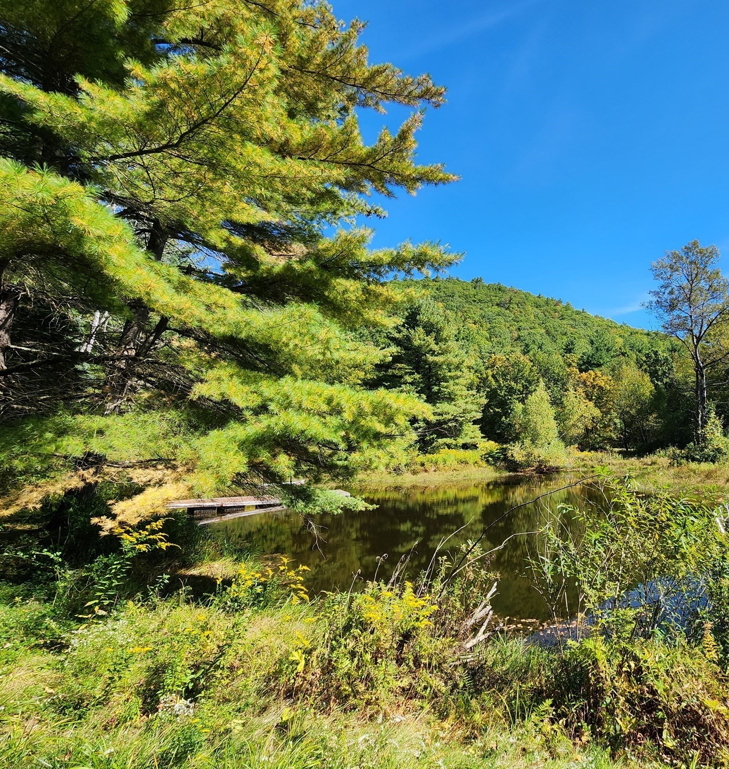 main property photo 16