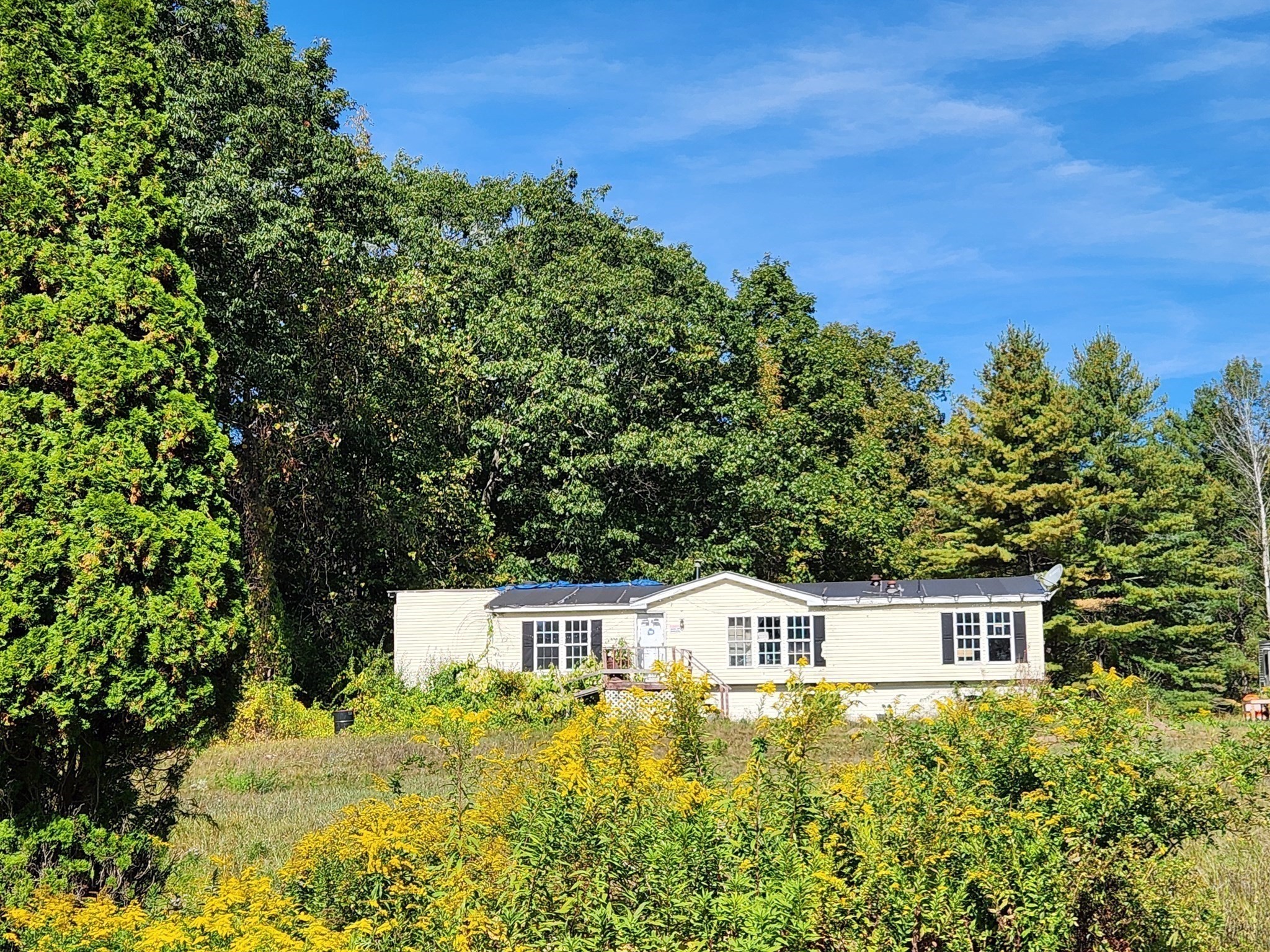 main property photo 6