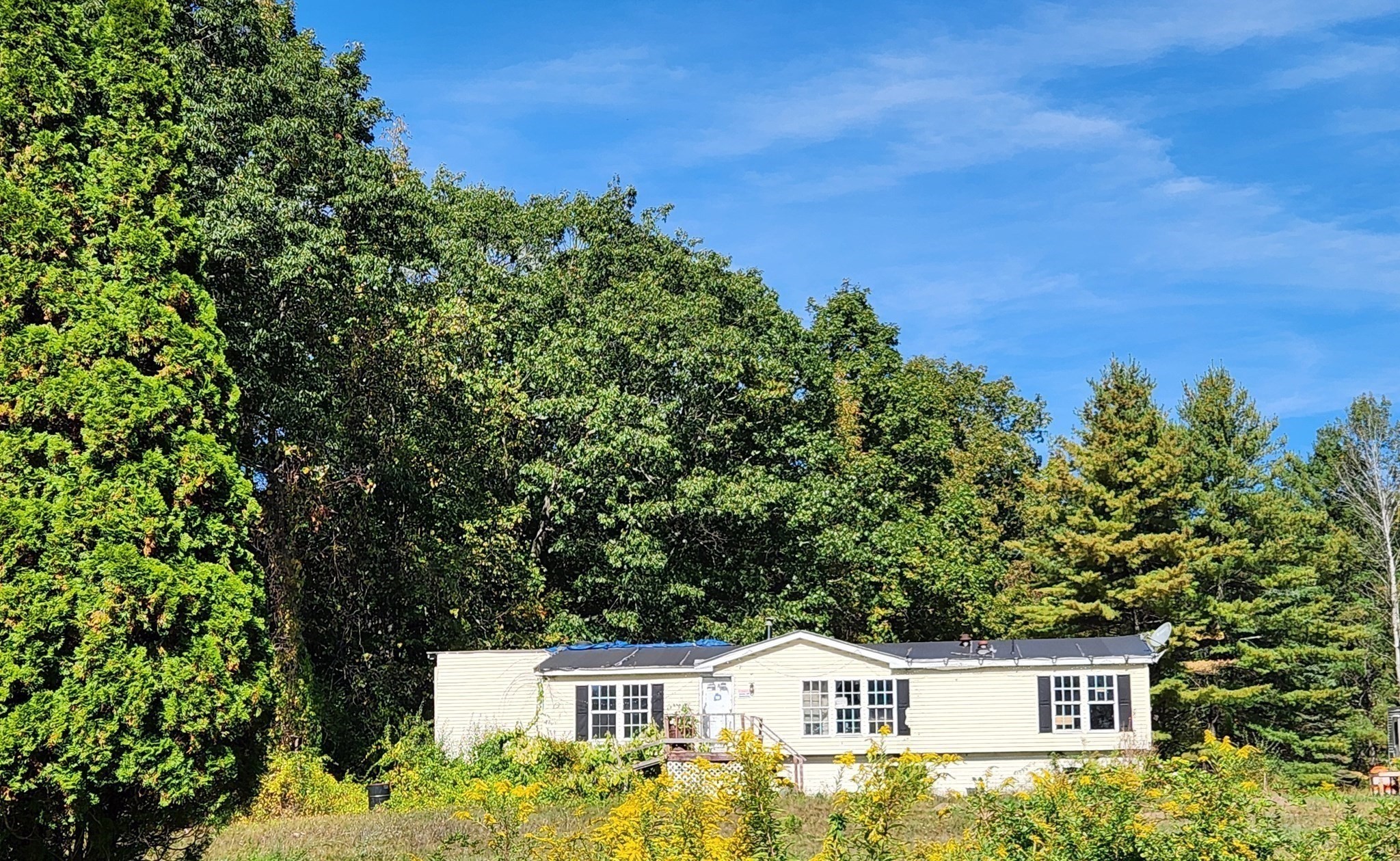 main property photo 7