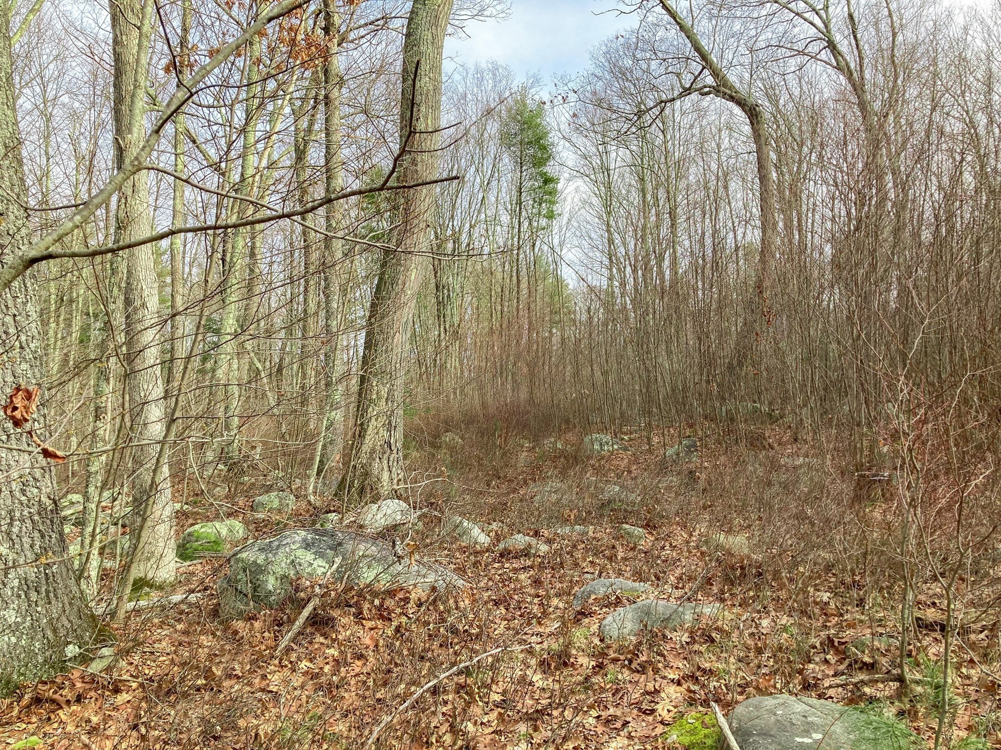 main property photo 7