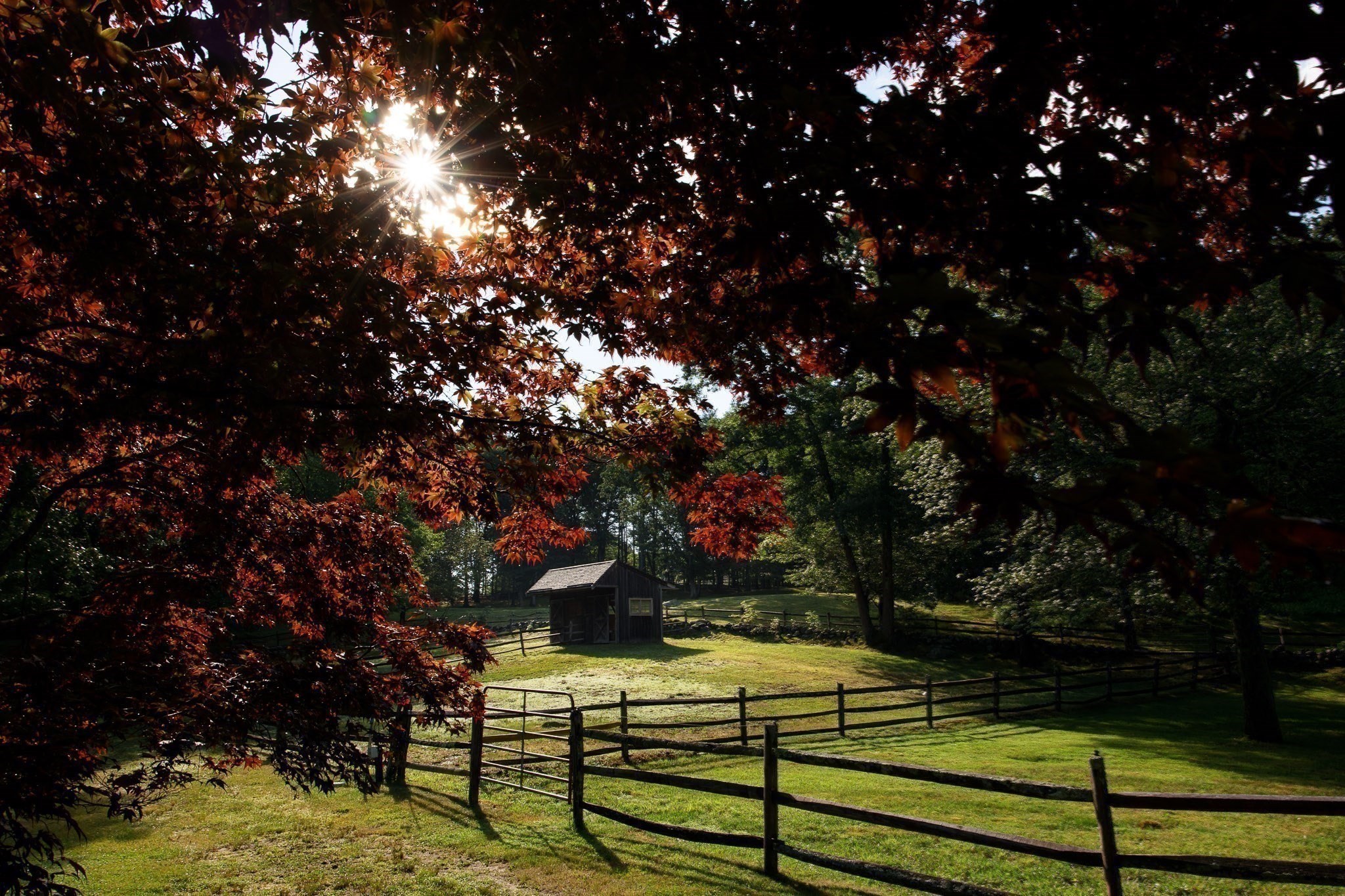 main property photo 10