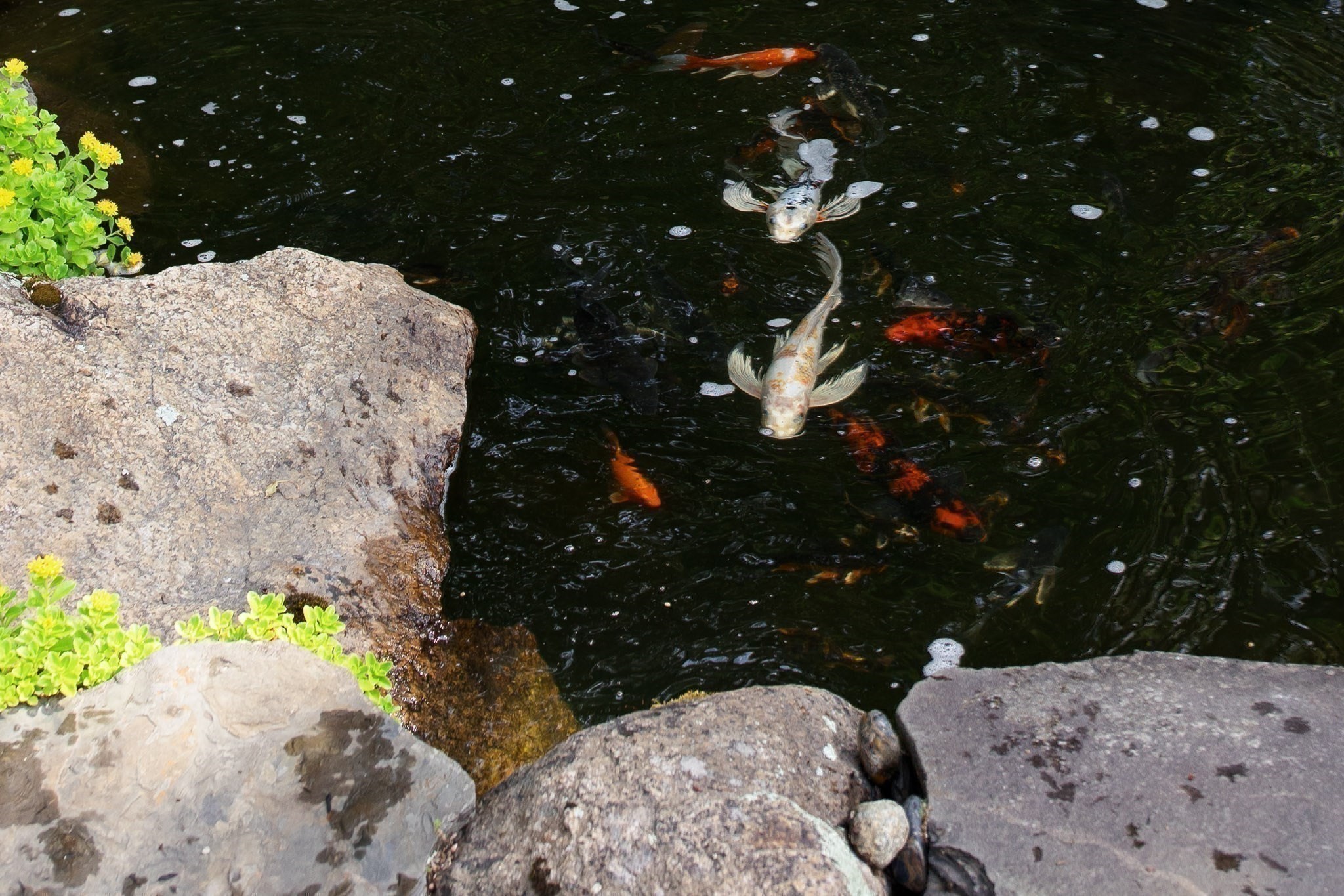 main property photo 16