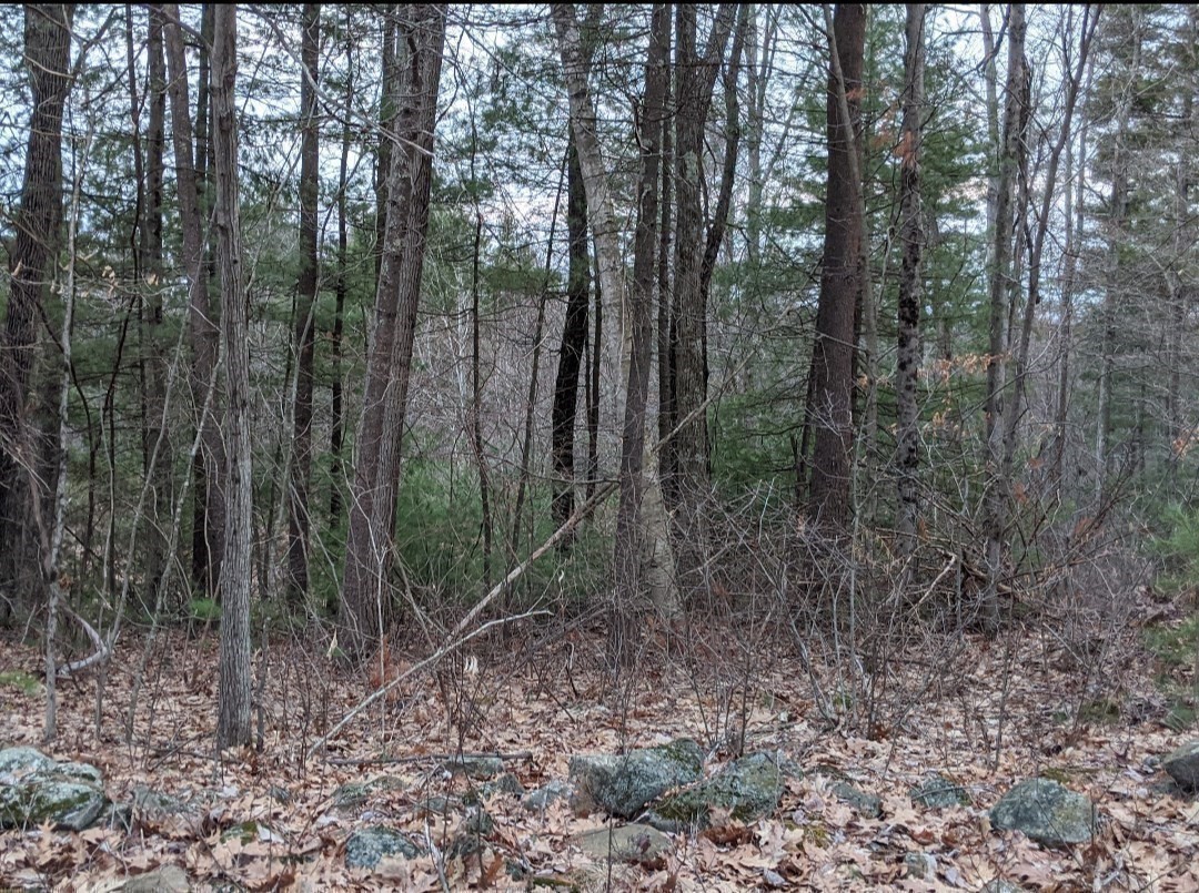 main property photo 32