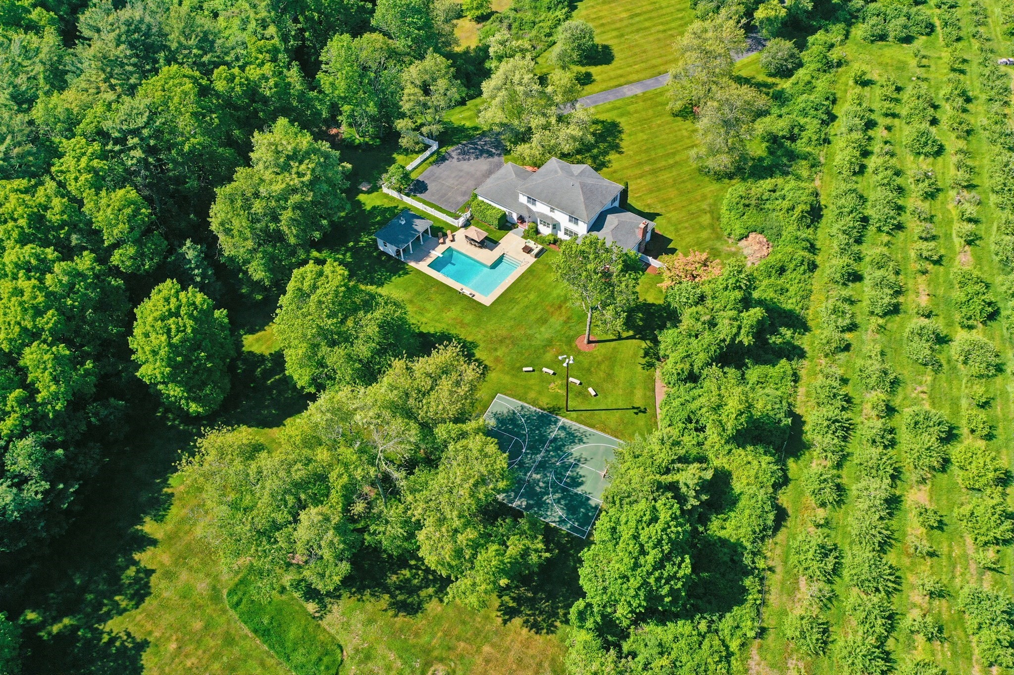 main property photo 13