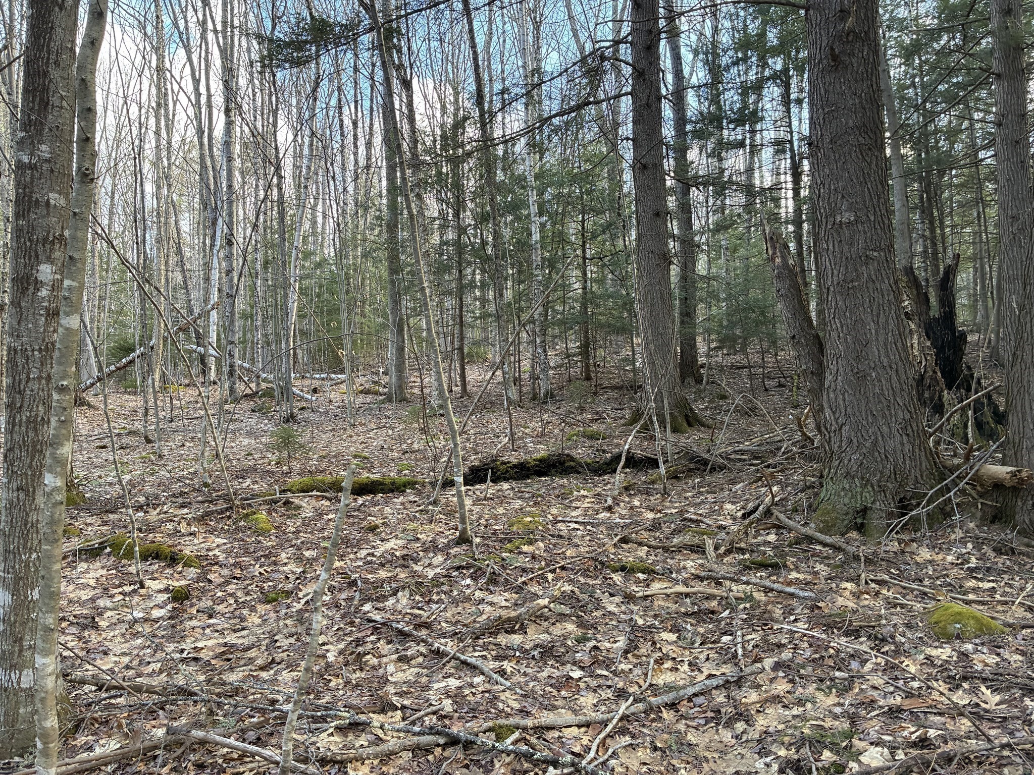 main property photo 6