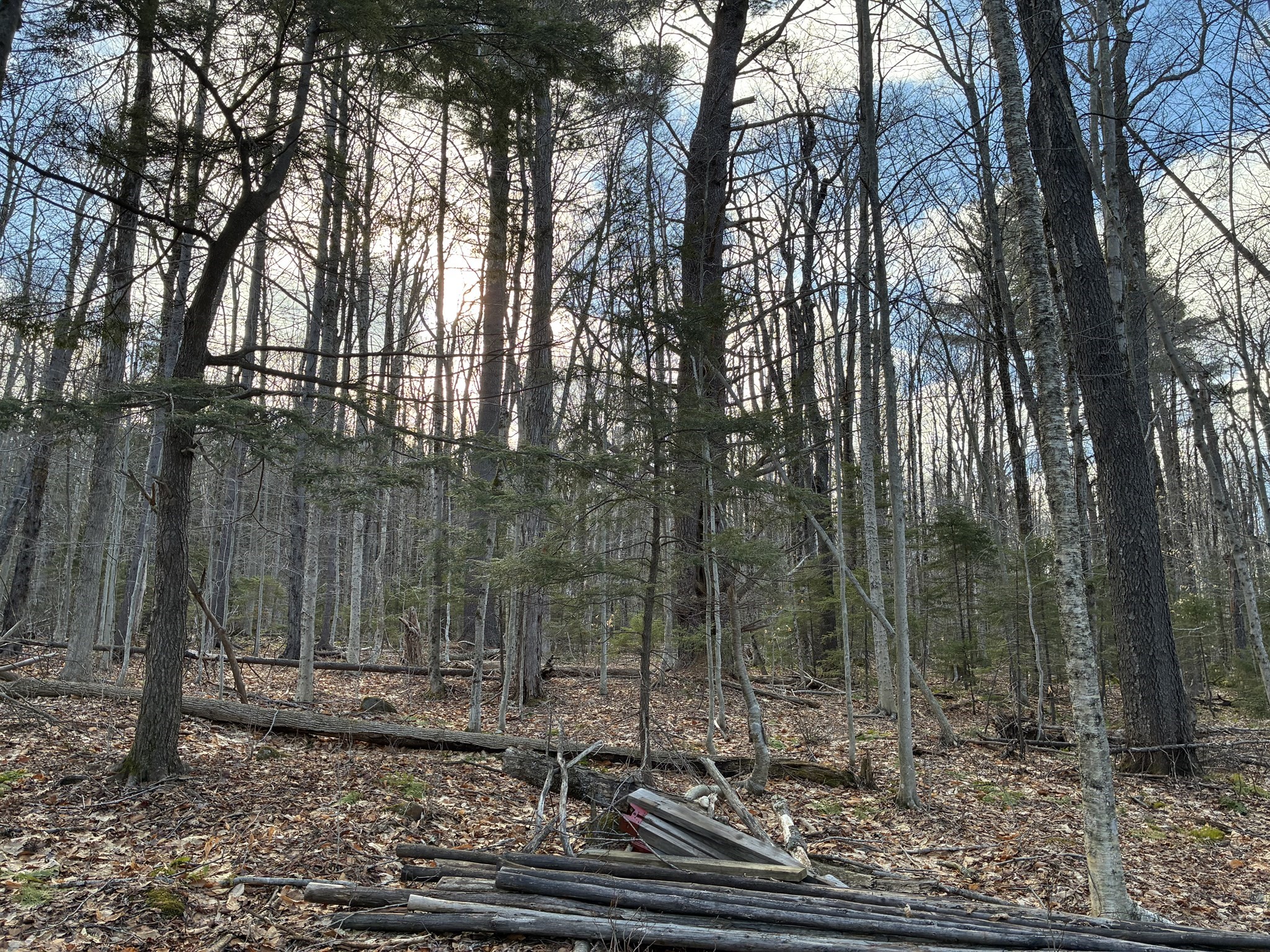 main property photo 10