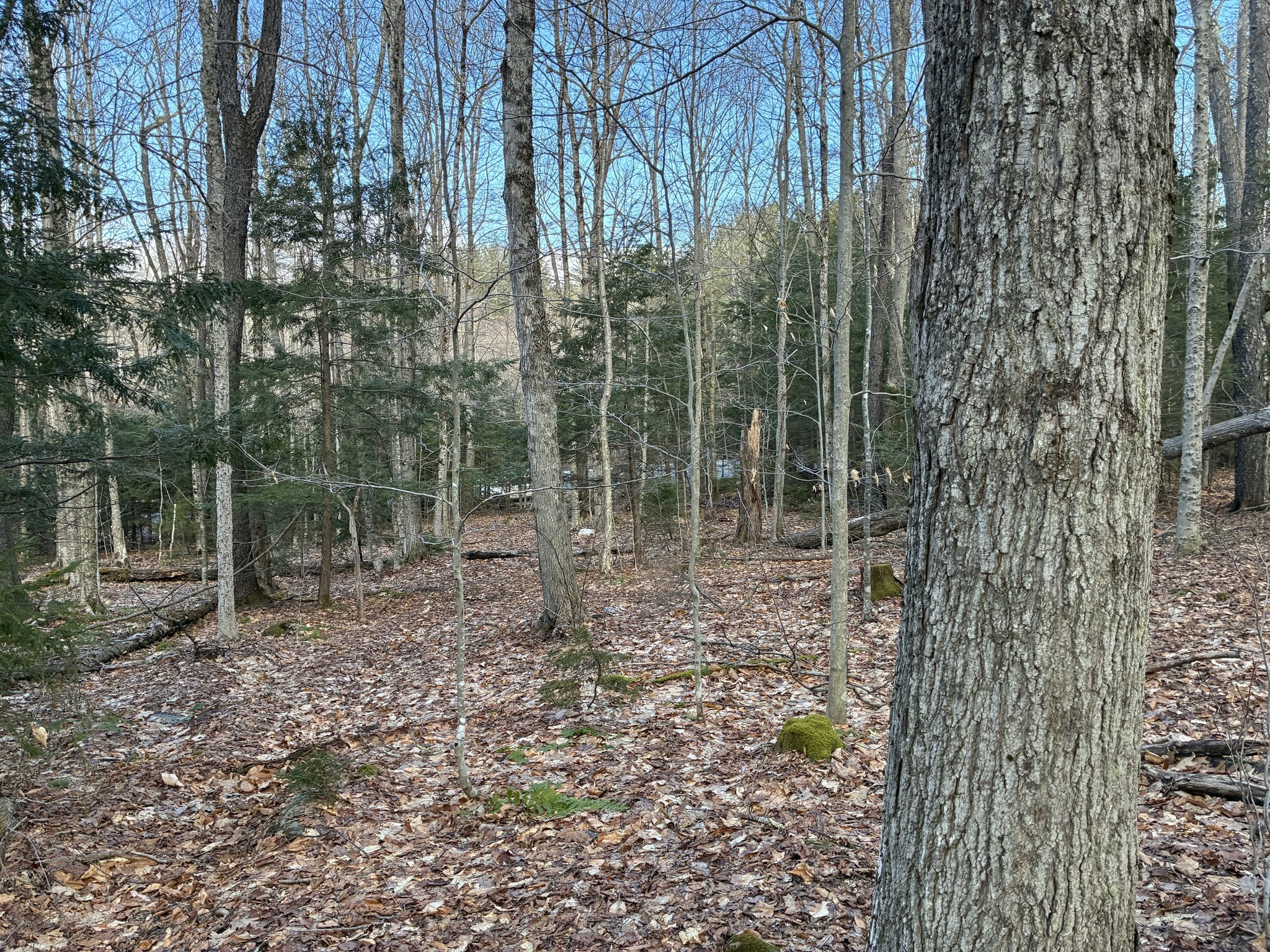 main property photo 11