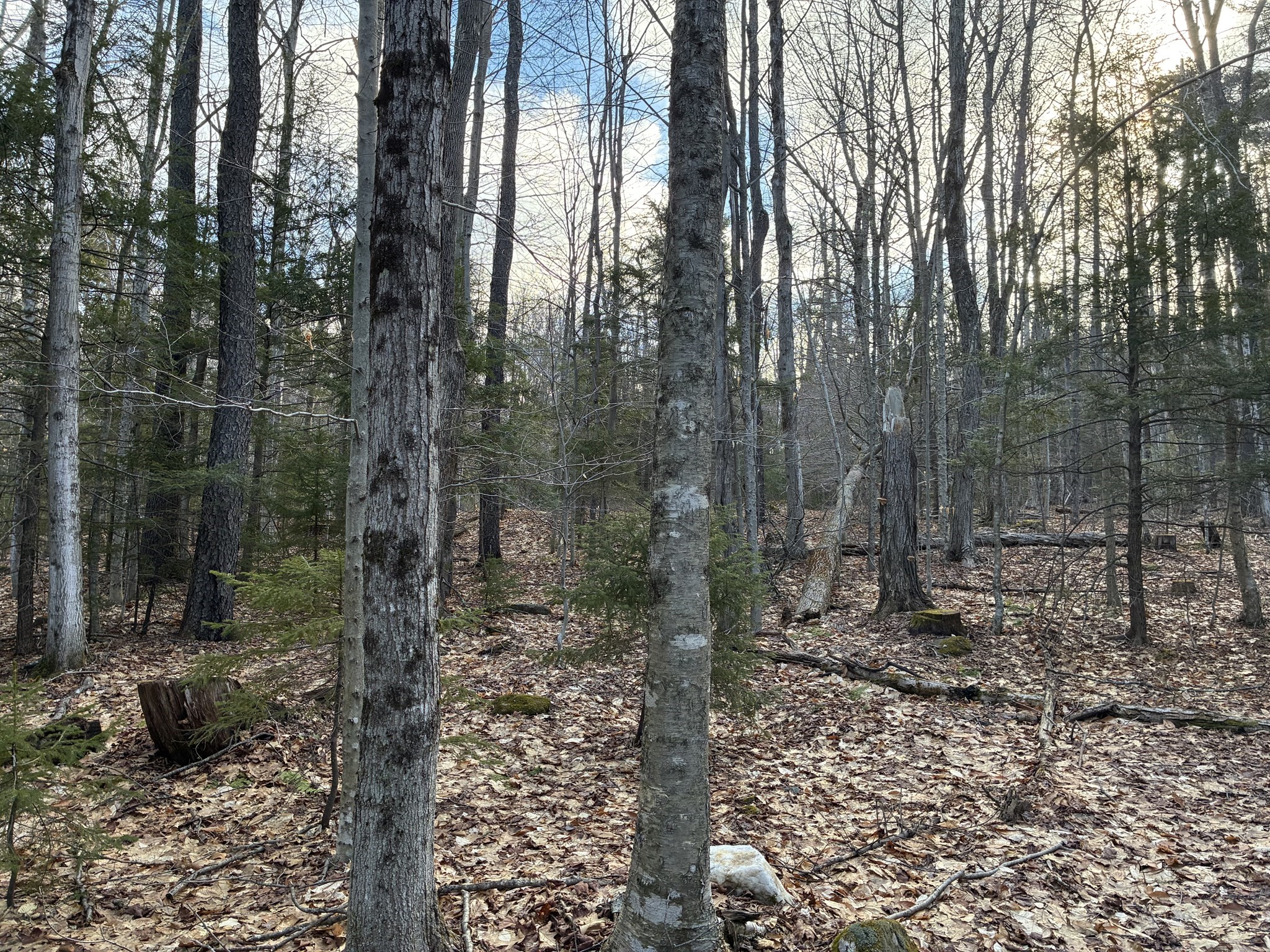 main property photo 5
