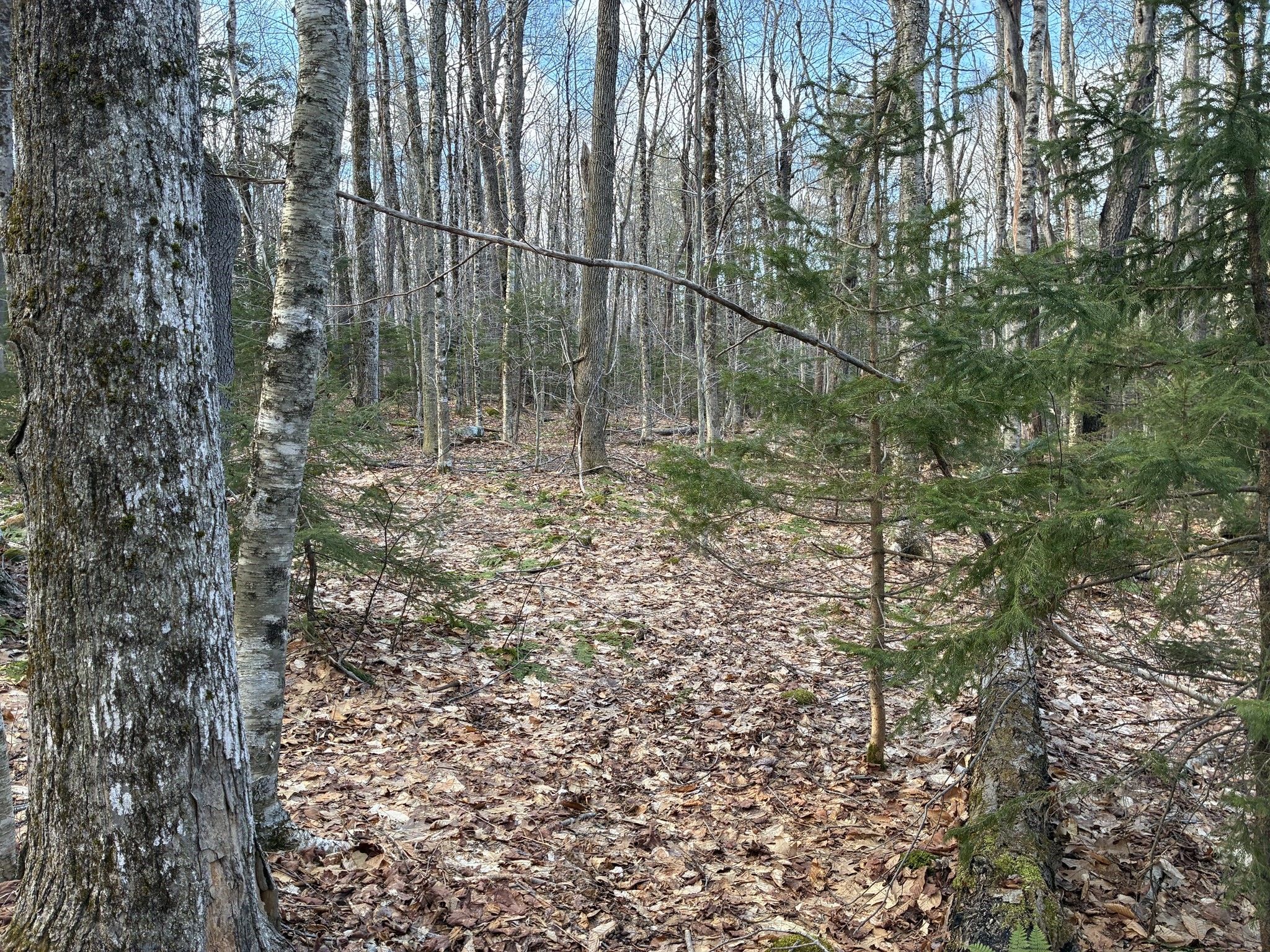 main property photo 8