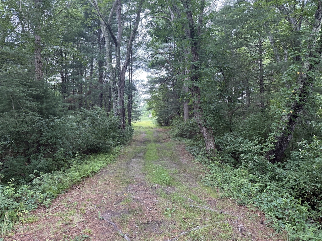 main property photo 41