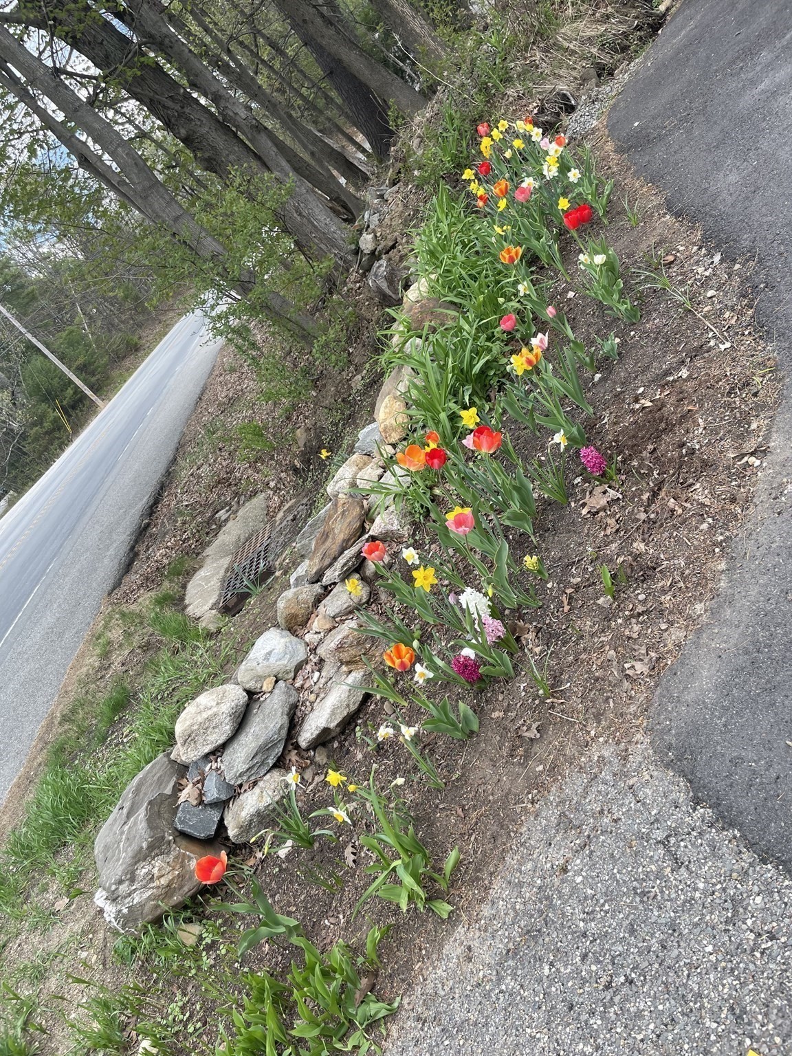 main property photo 41