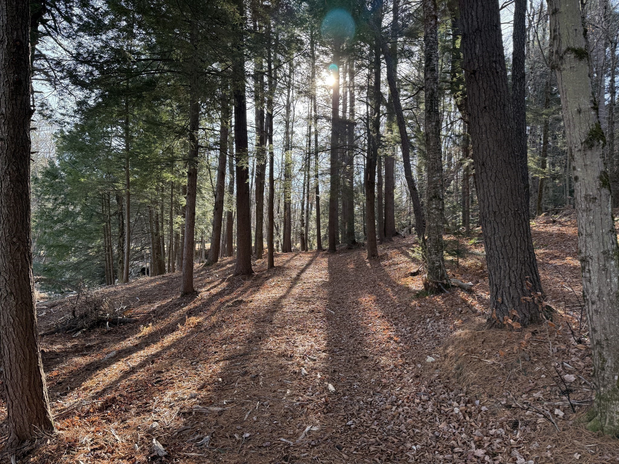 main property photo 38