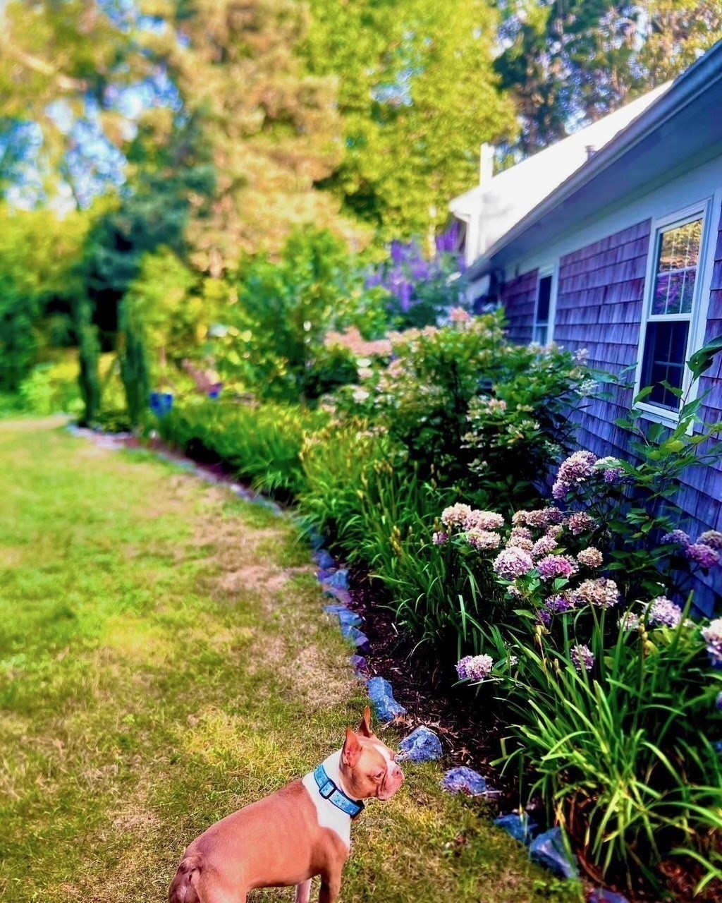 main property photo 34