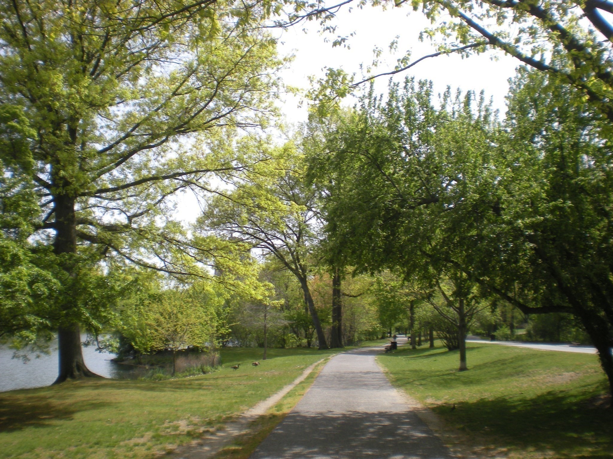 main property photo 25