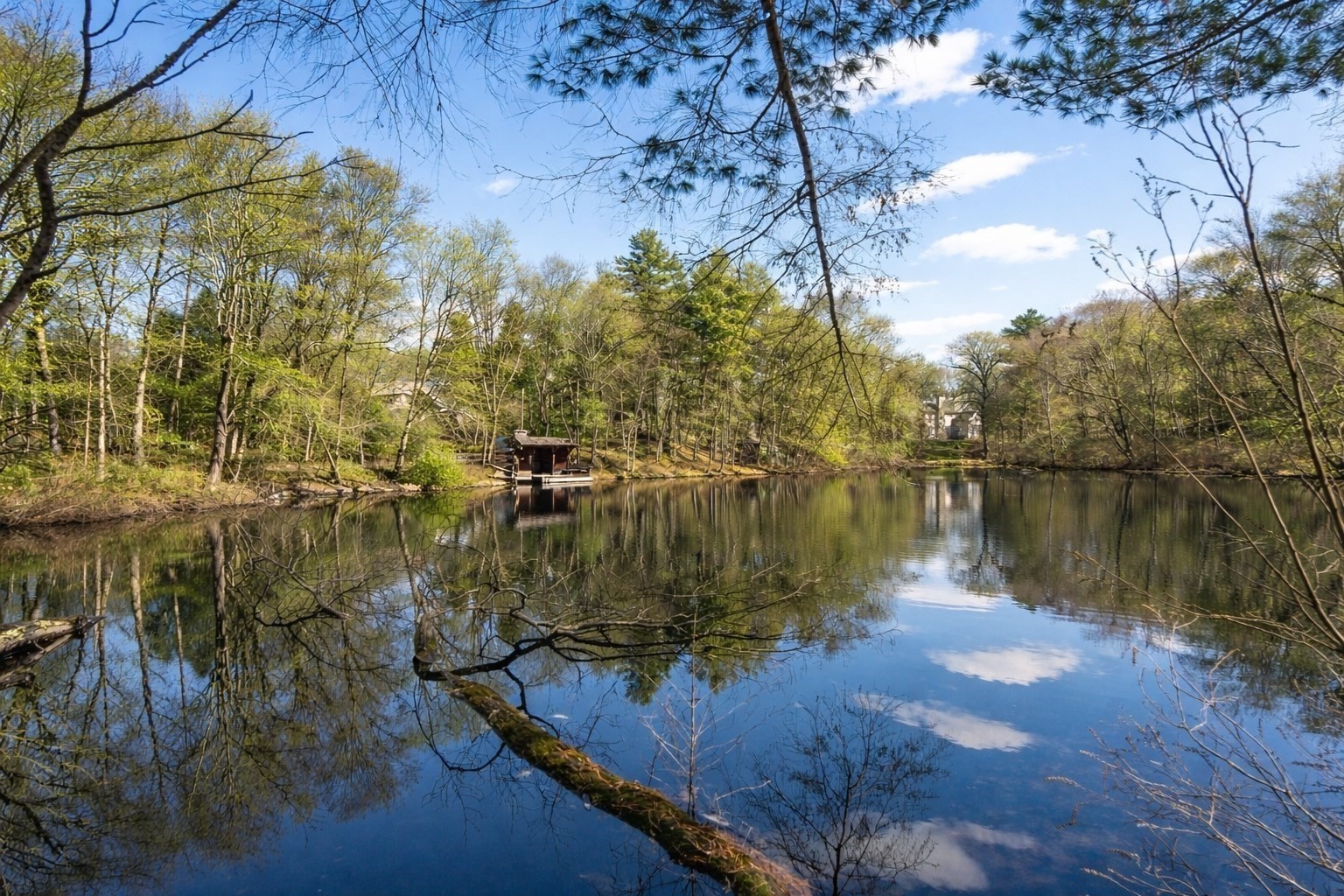 main property photo 32