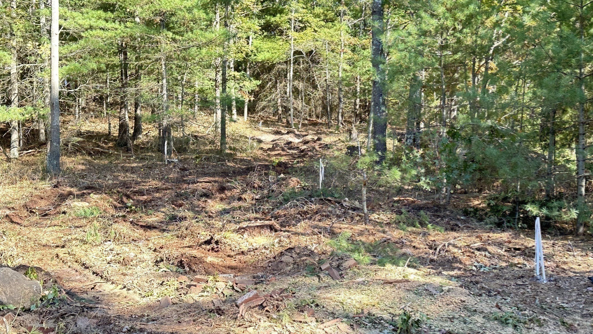 main property photo 10