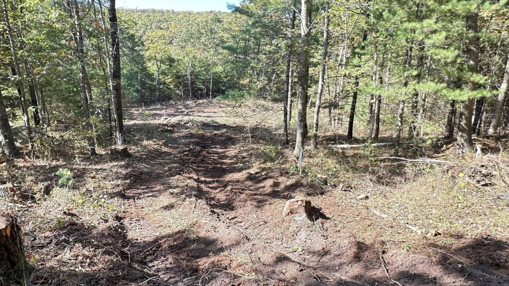 main property photo 16