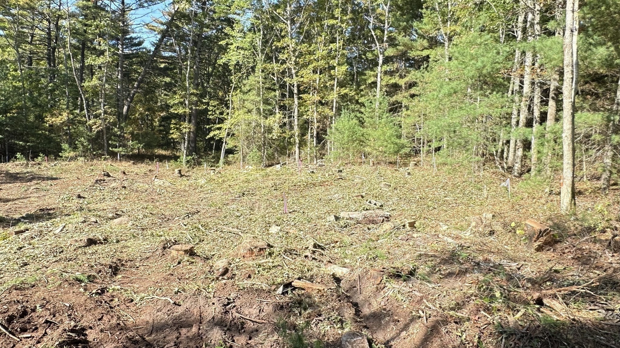 main property photo 18