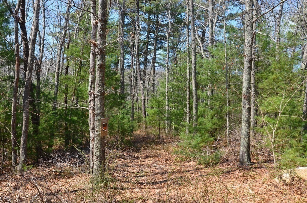 main property photo 24