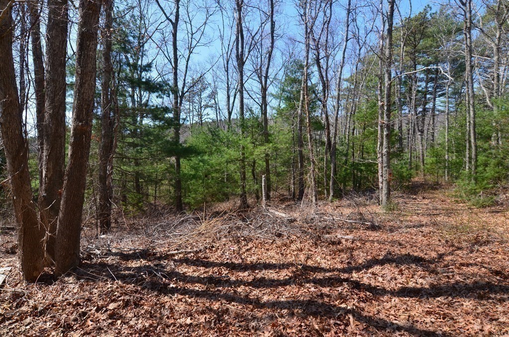 main property photo 26