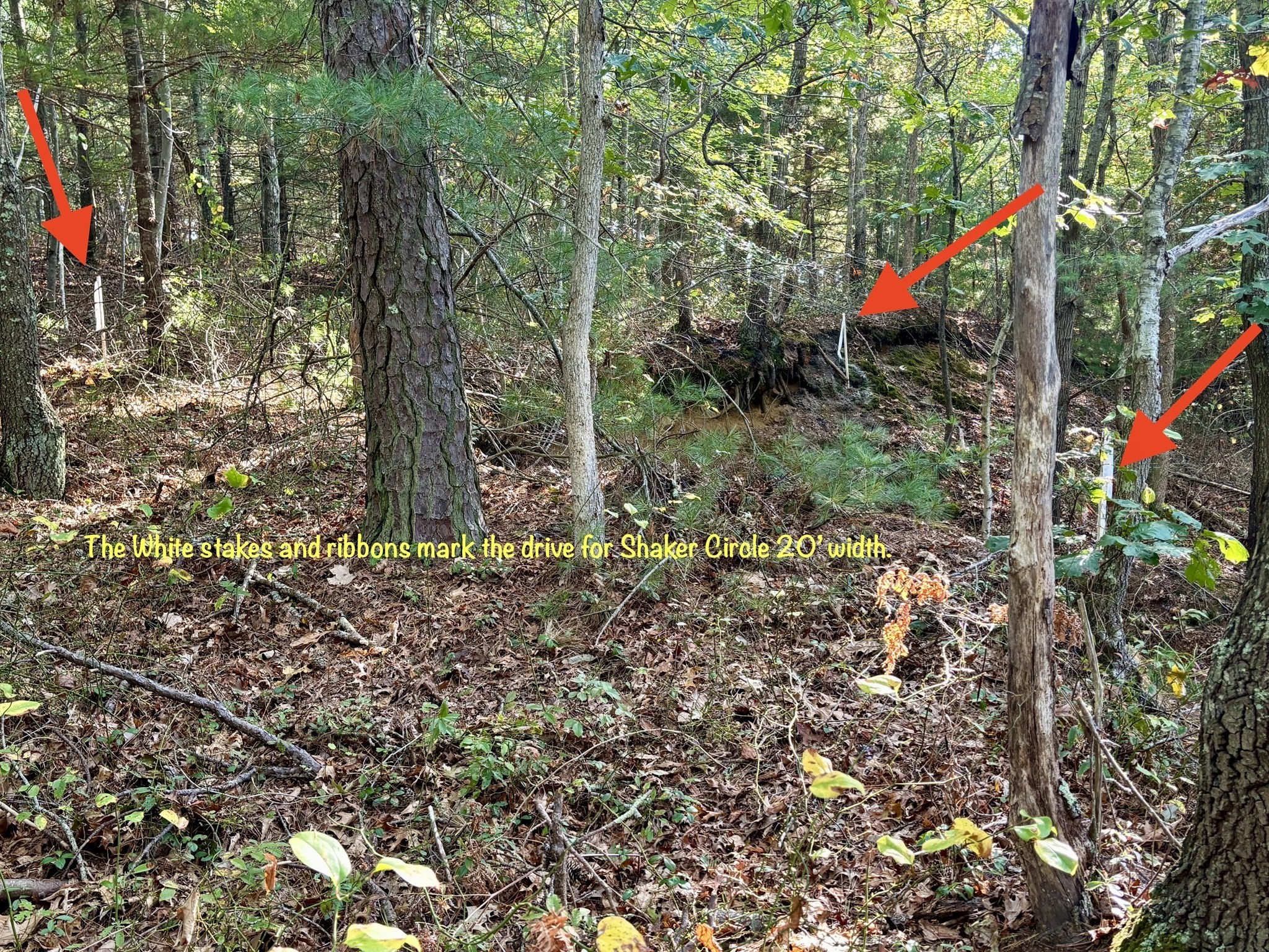 main property photo 32