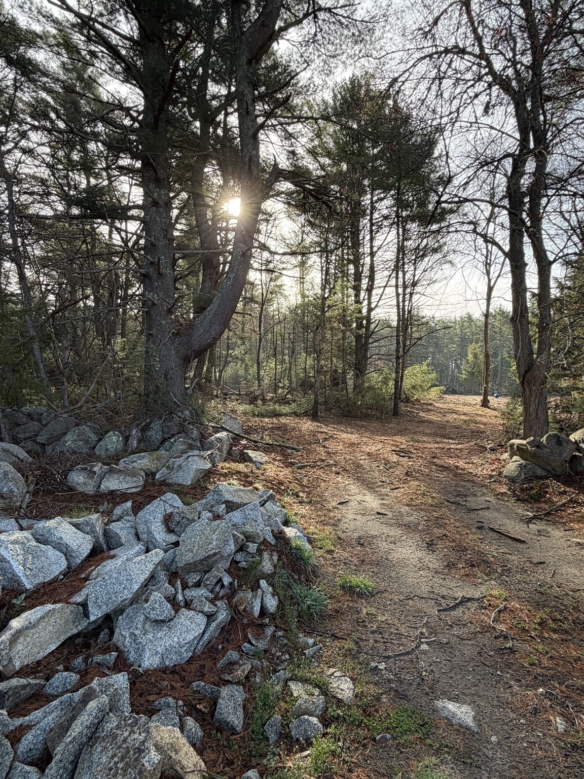 main property photo 21