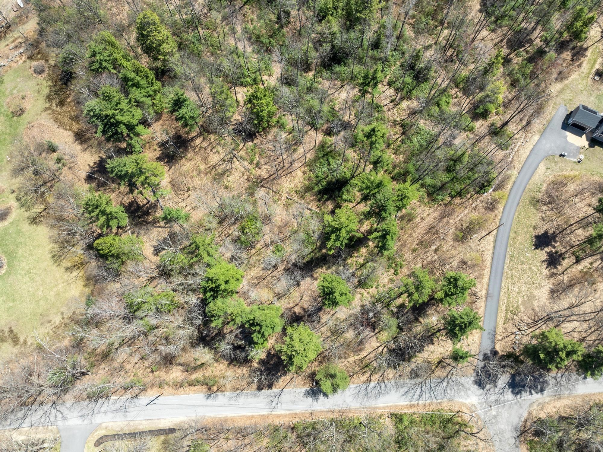 main property photo 9