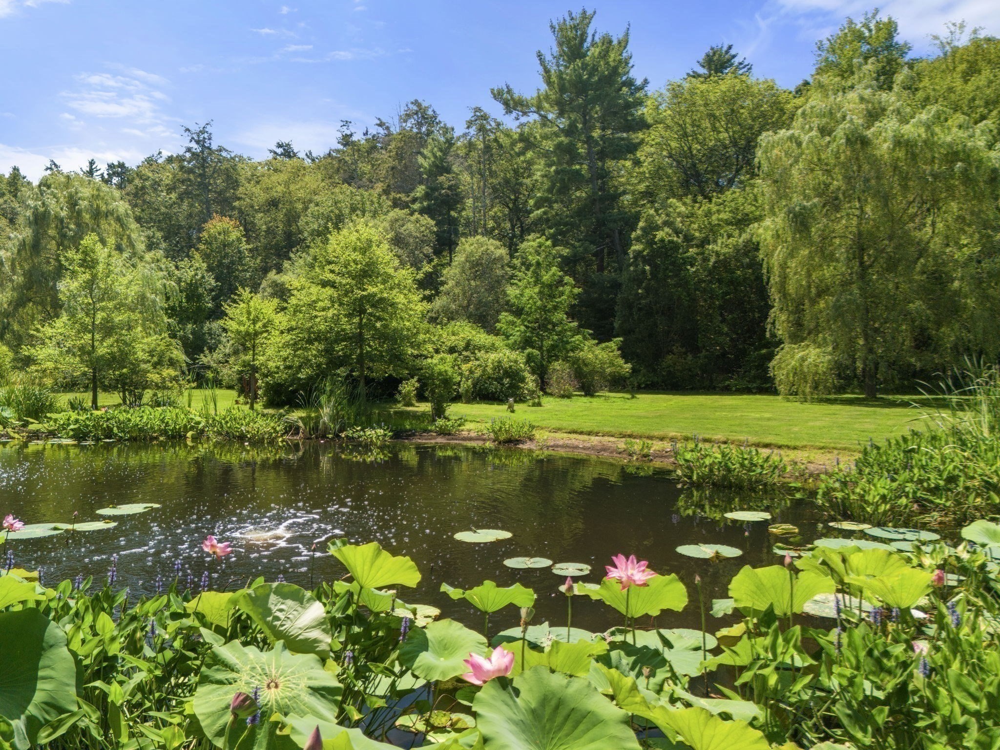 main property photo 32