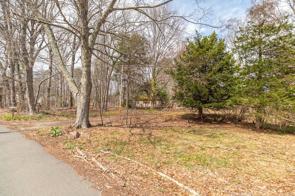 property viewer photo 6
