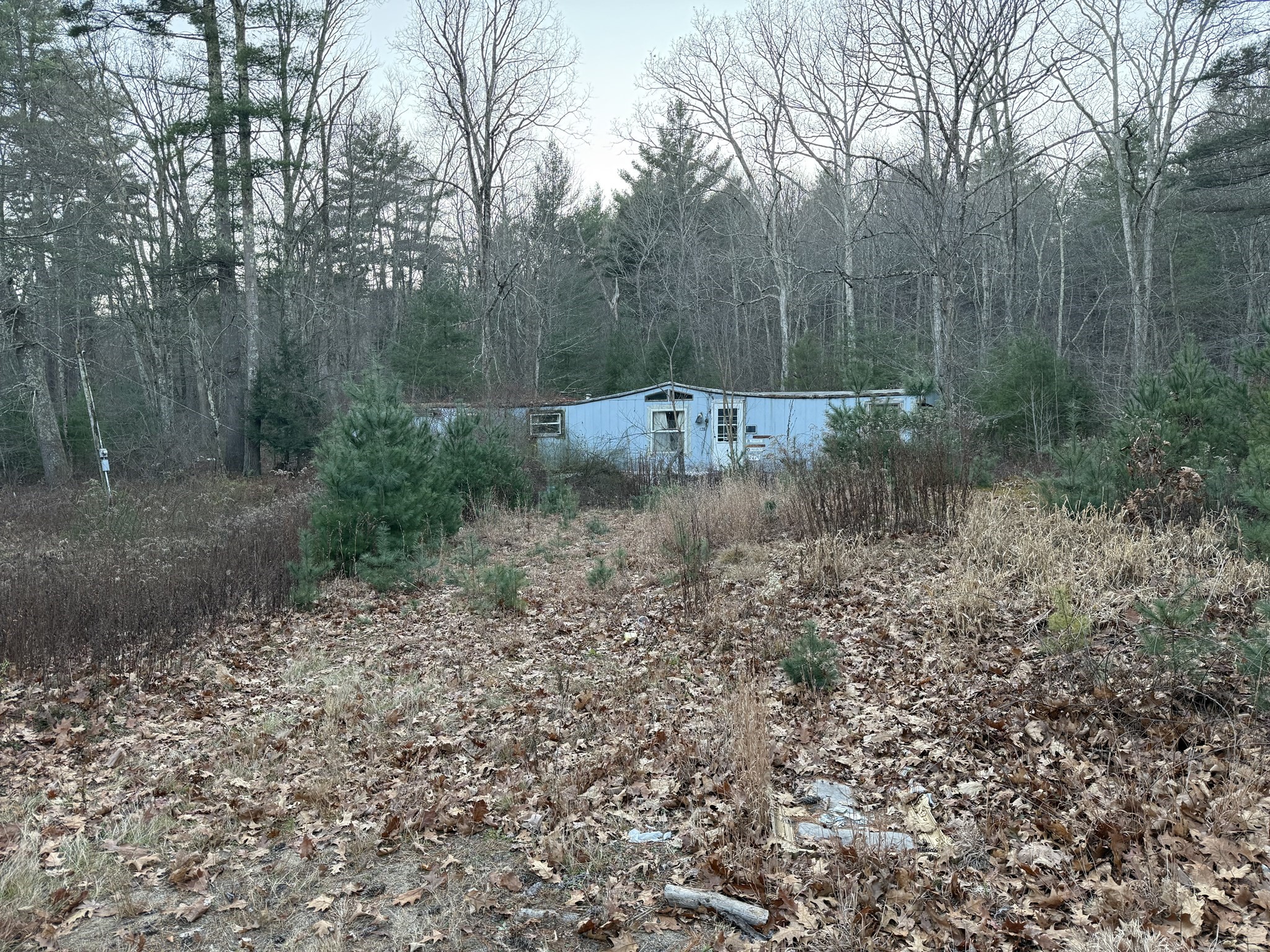 main property photo 1
