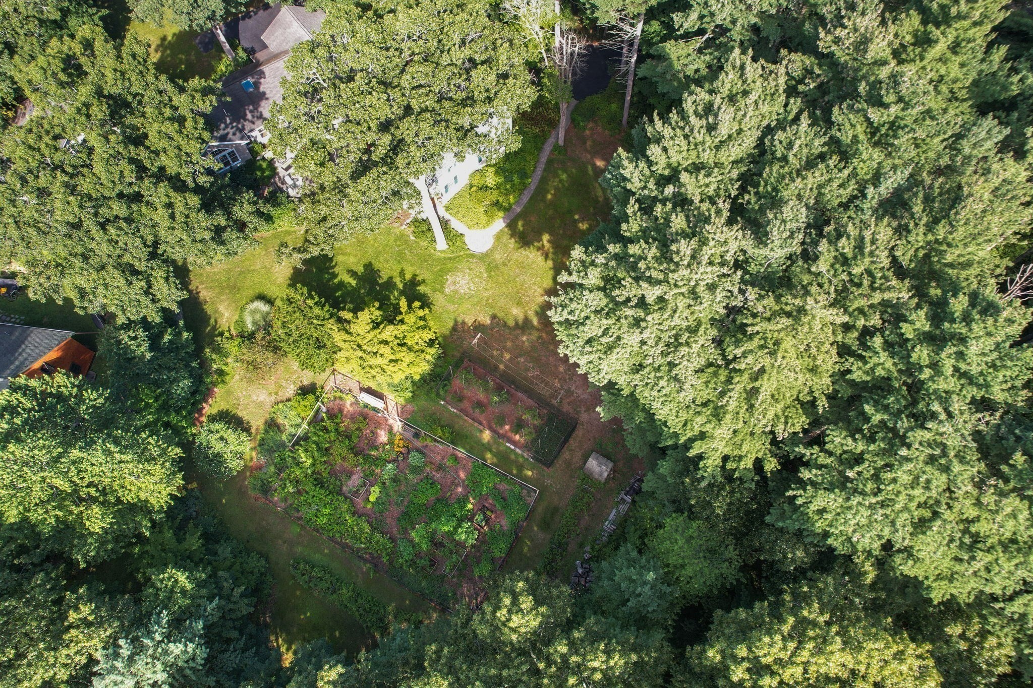 main property photo 37