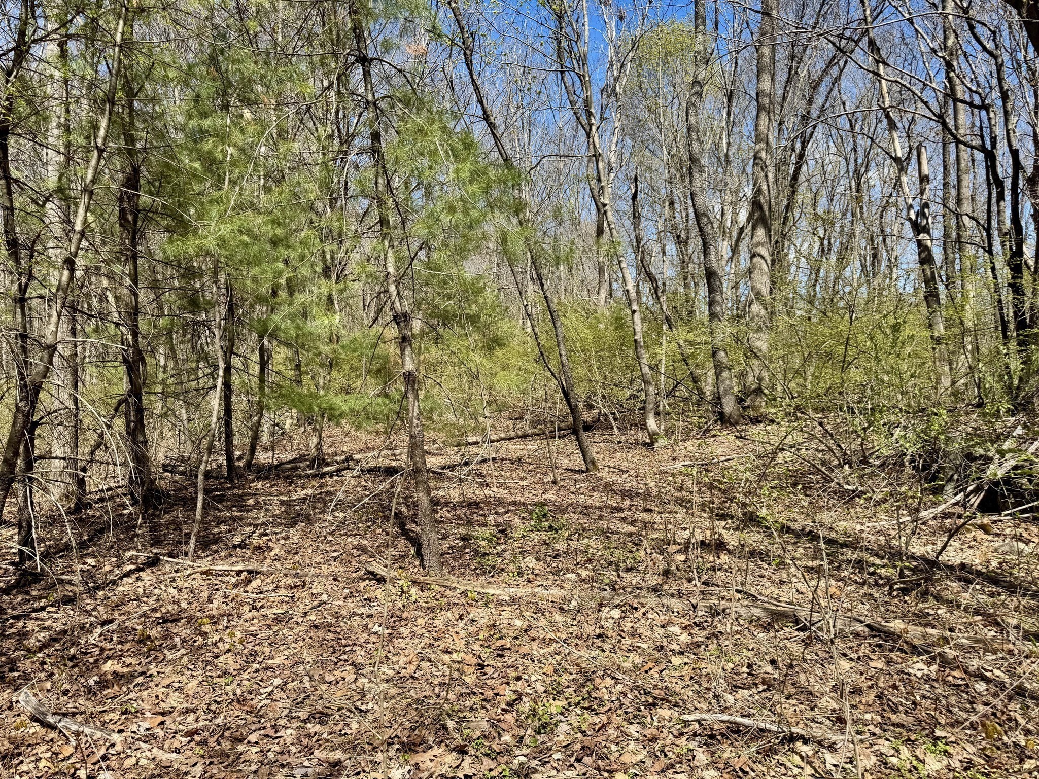 main property photo 6