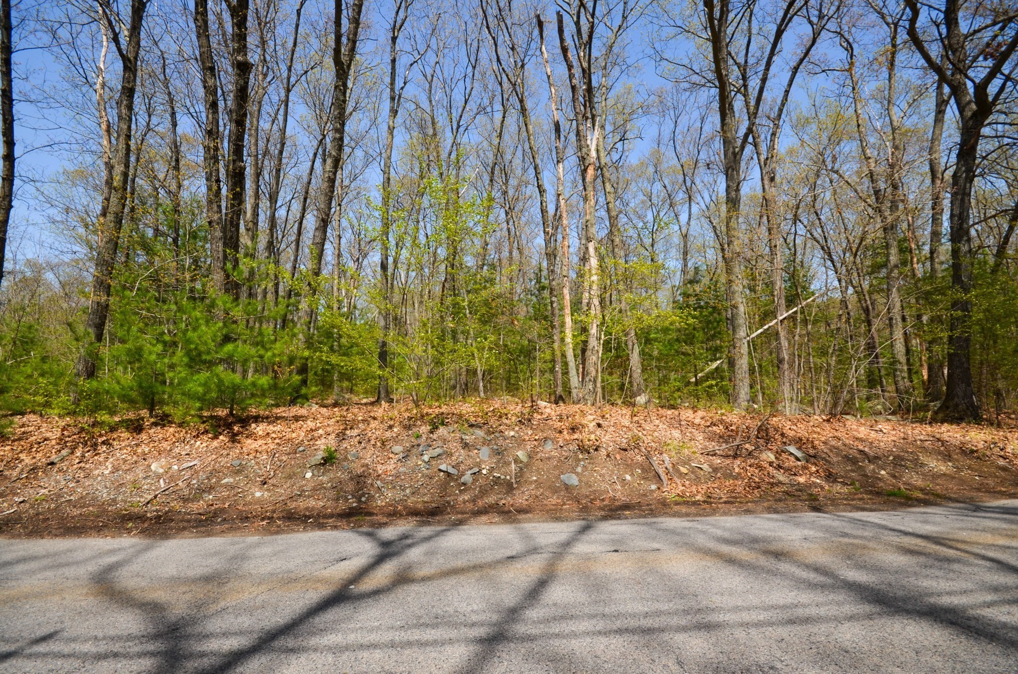 main property photo 11