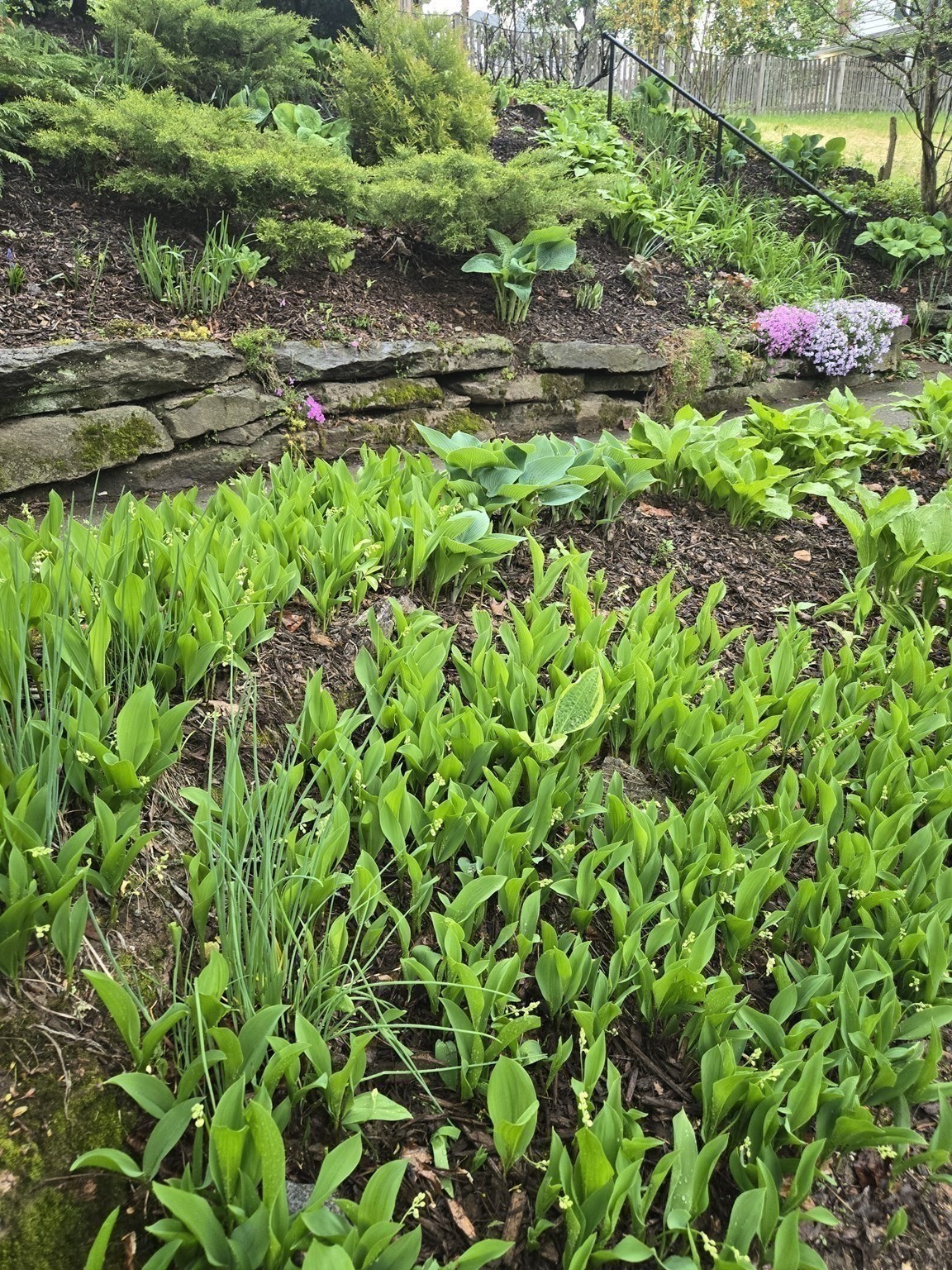 main property photo 32
