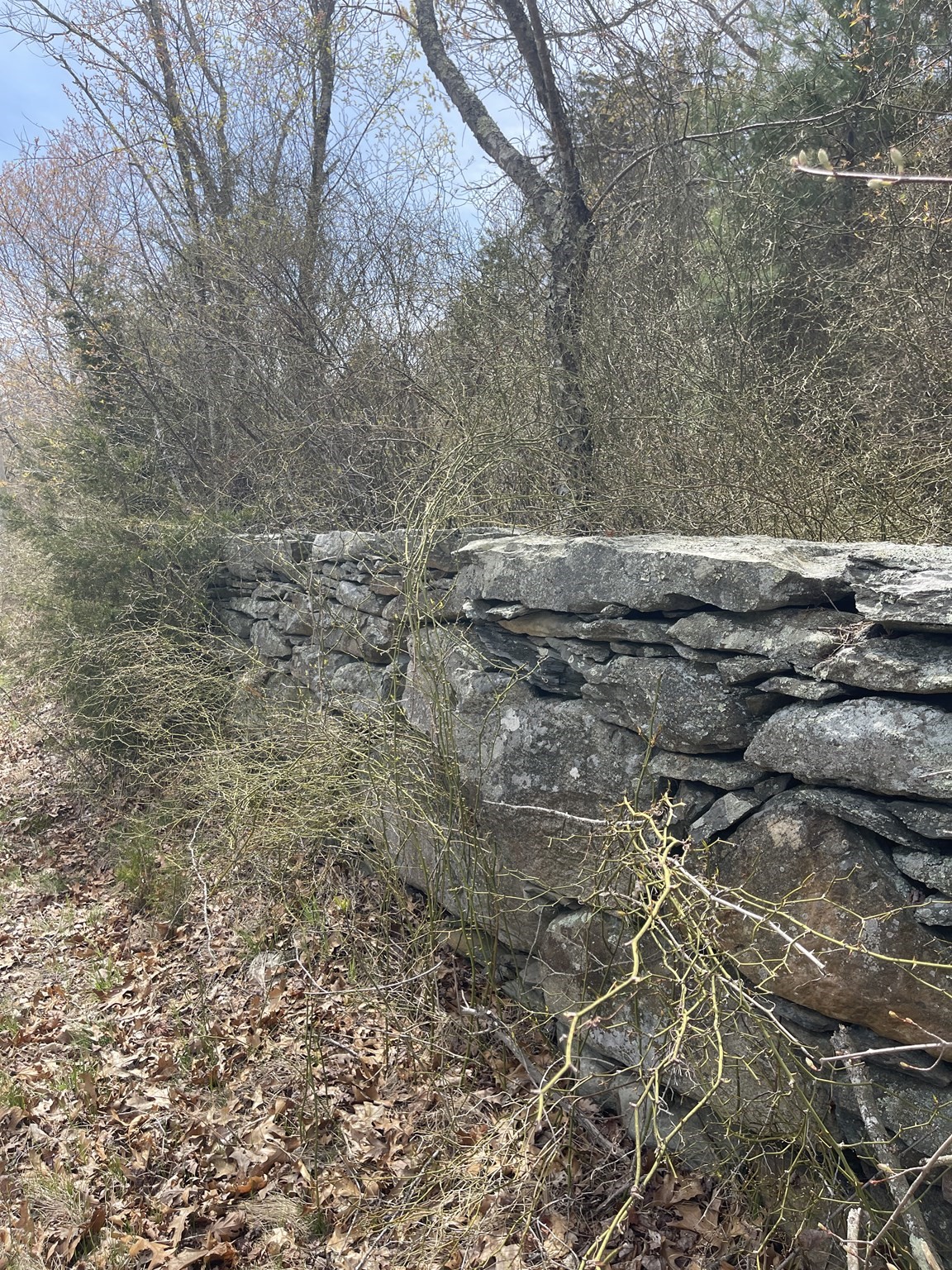 main property photo 11