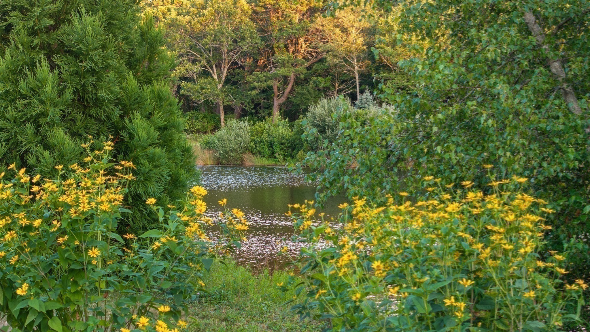 main property photo 10