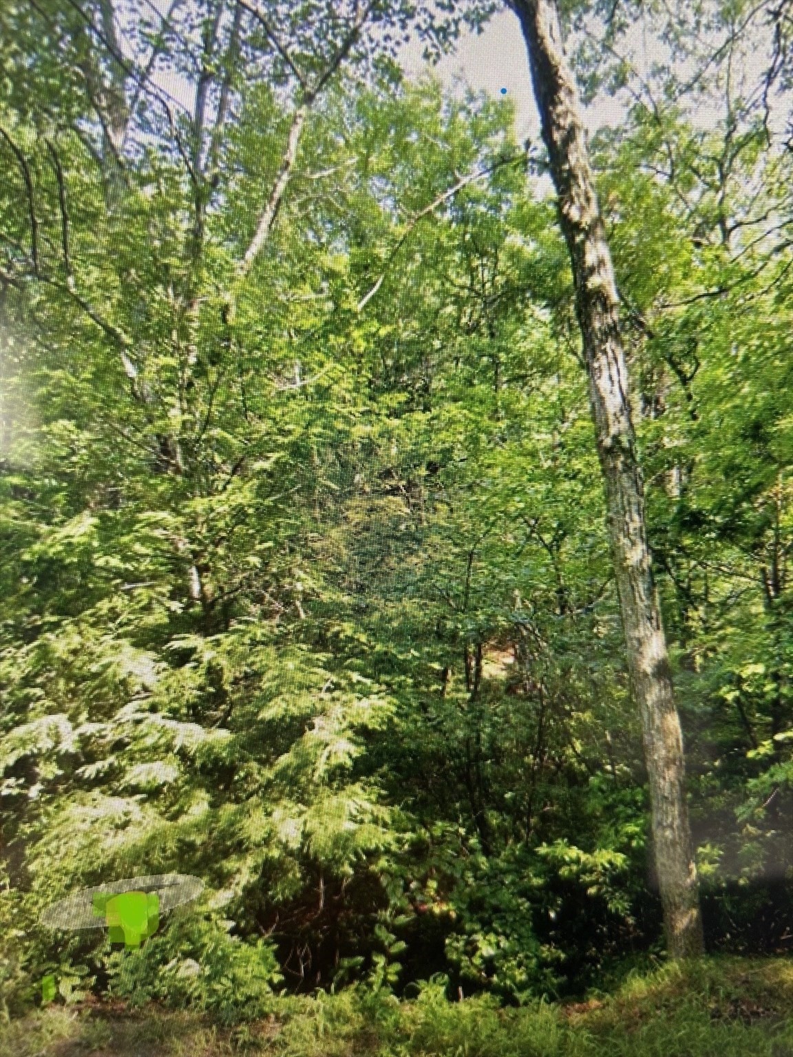 main property photo 6