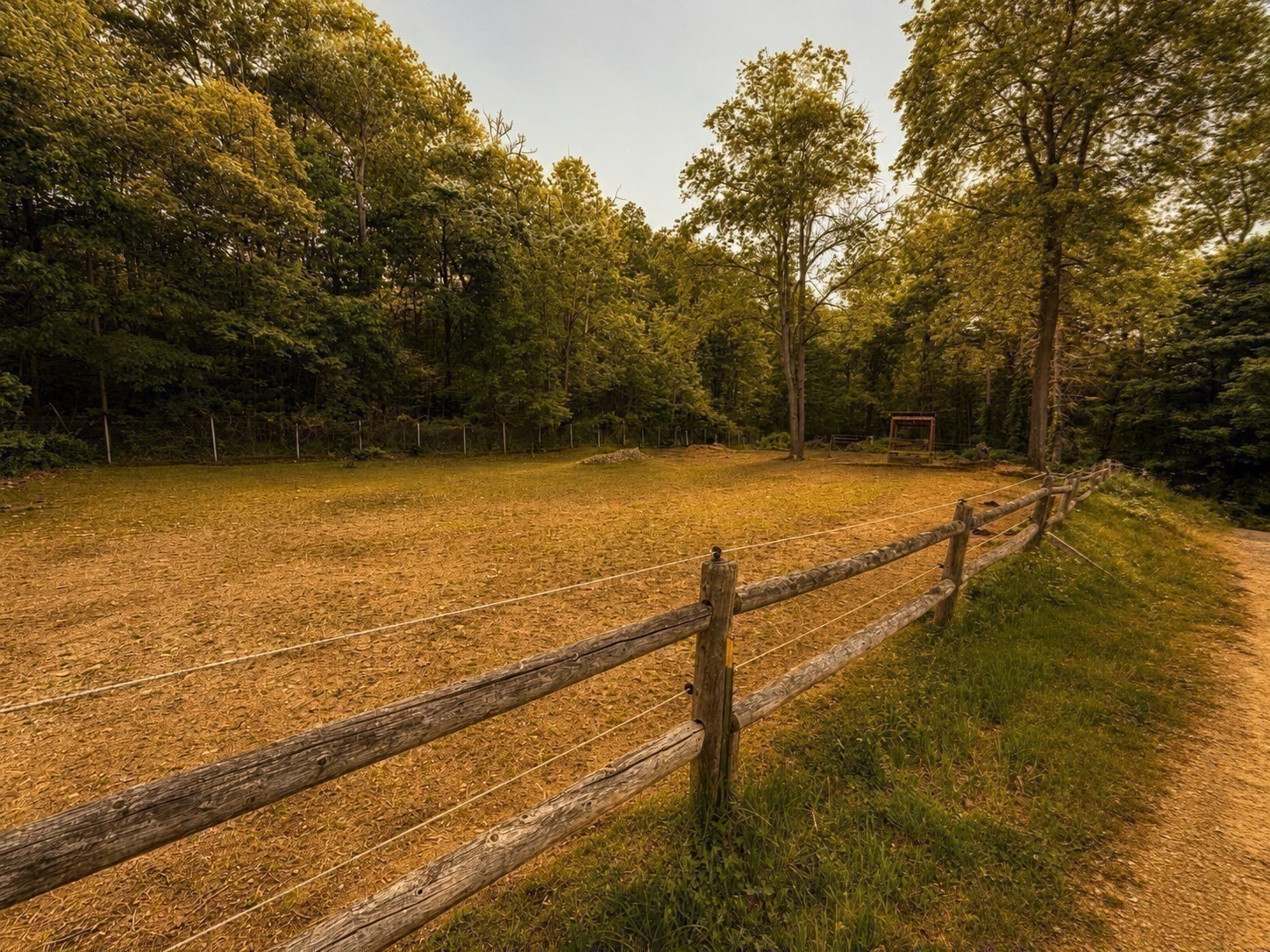 main property photo 18