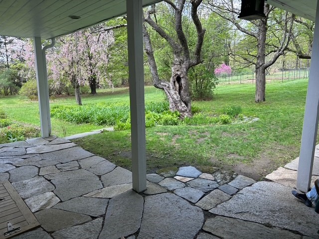 main property photo 38