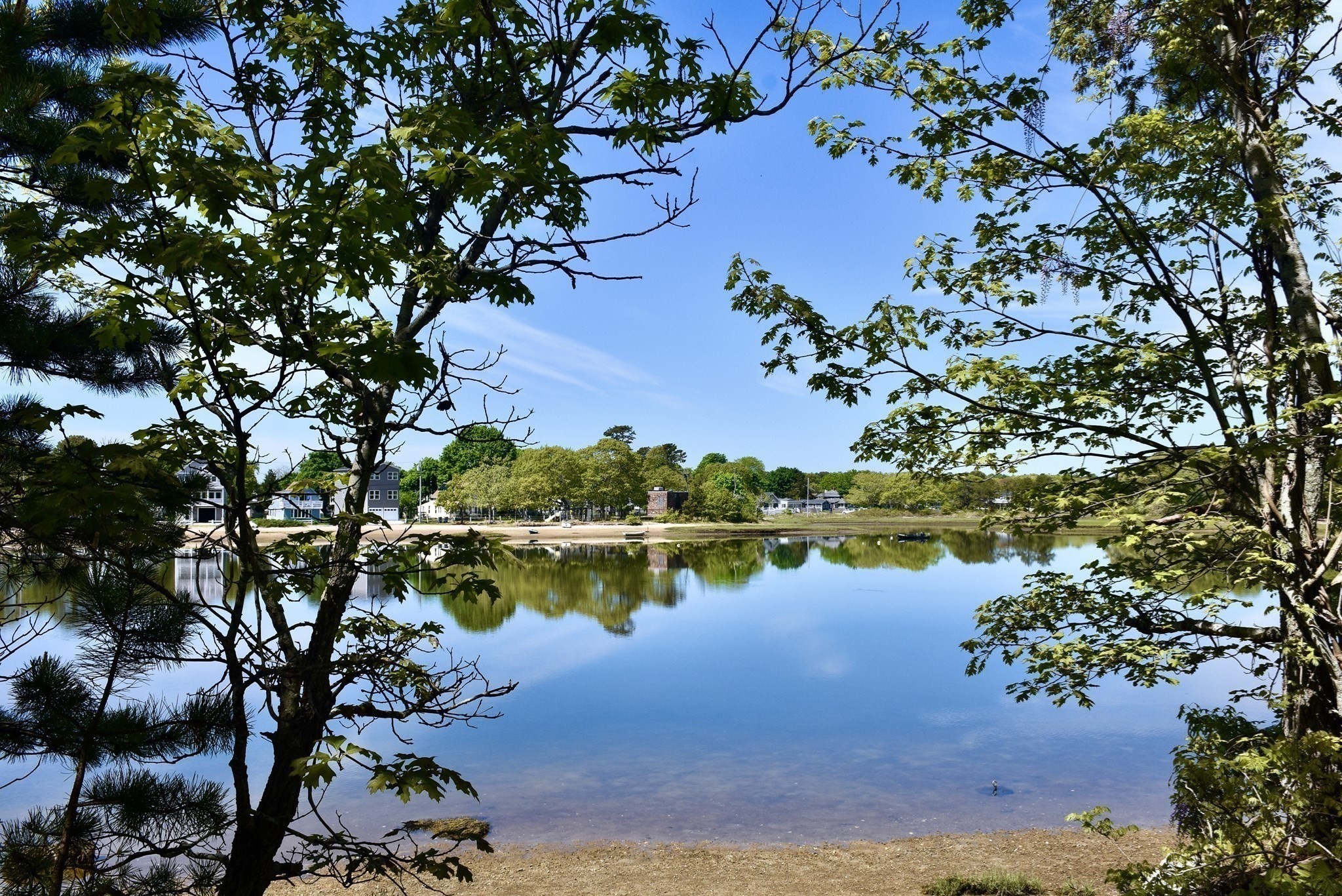 main property photo 35