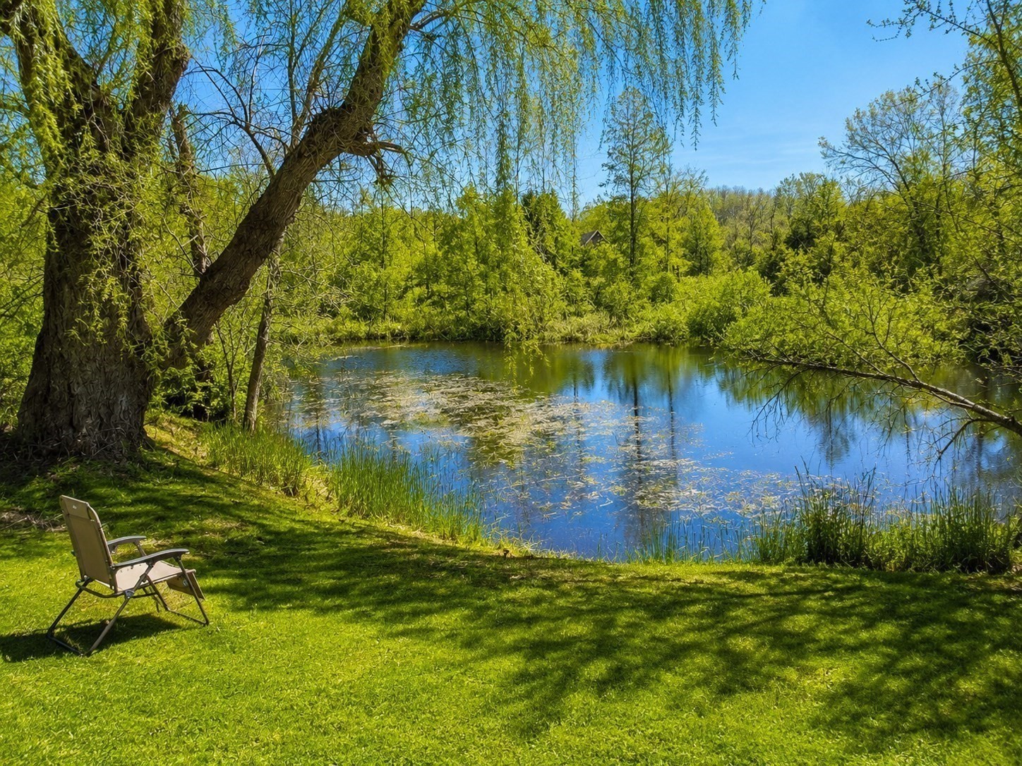 main property photo 10