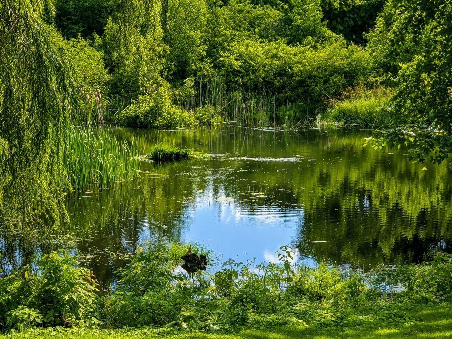 main property photo 8