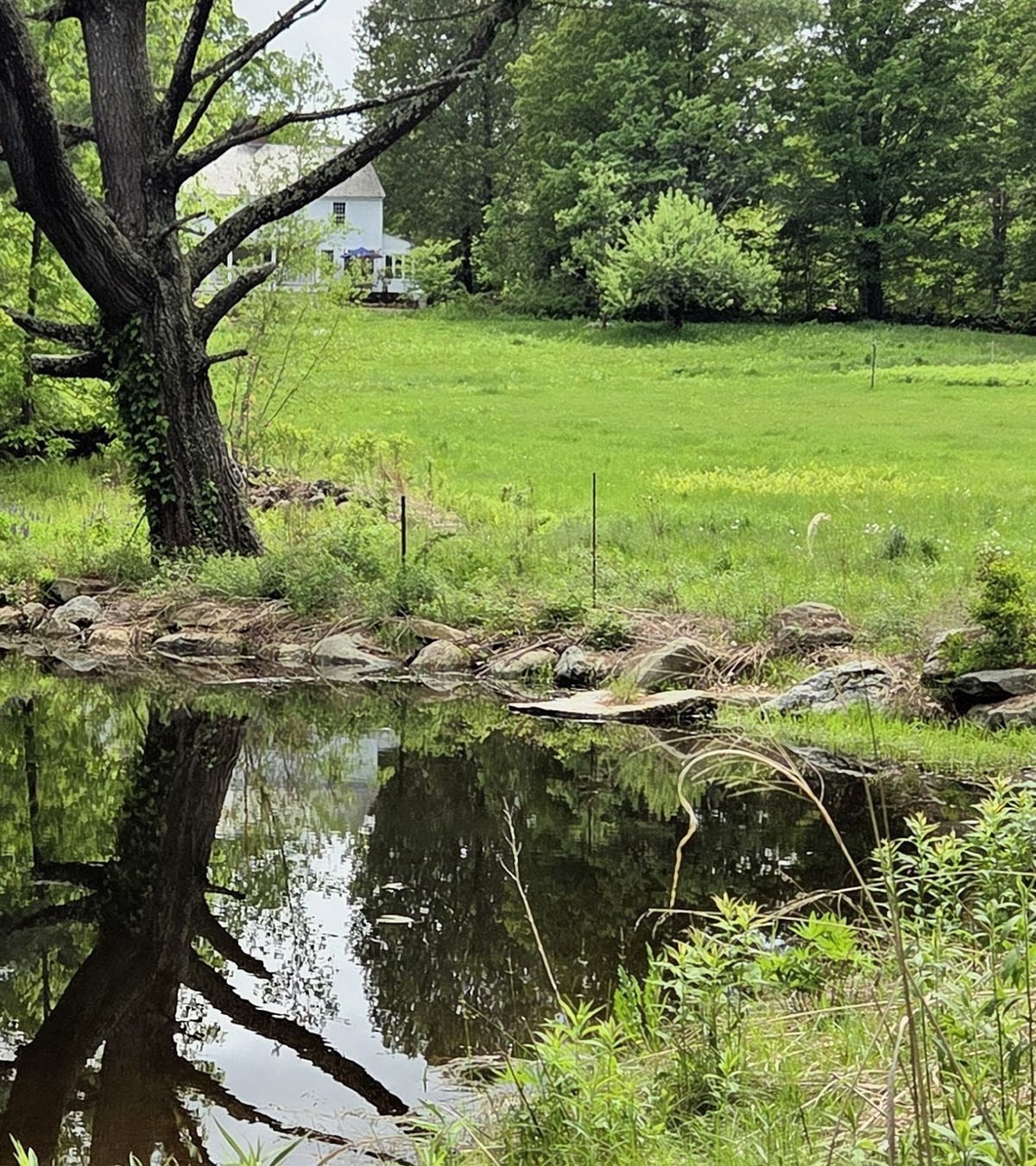 main property photo 39