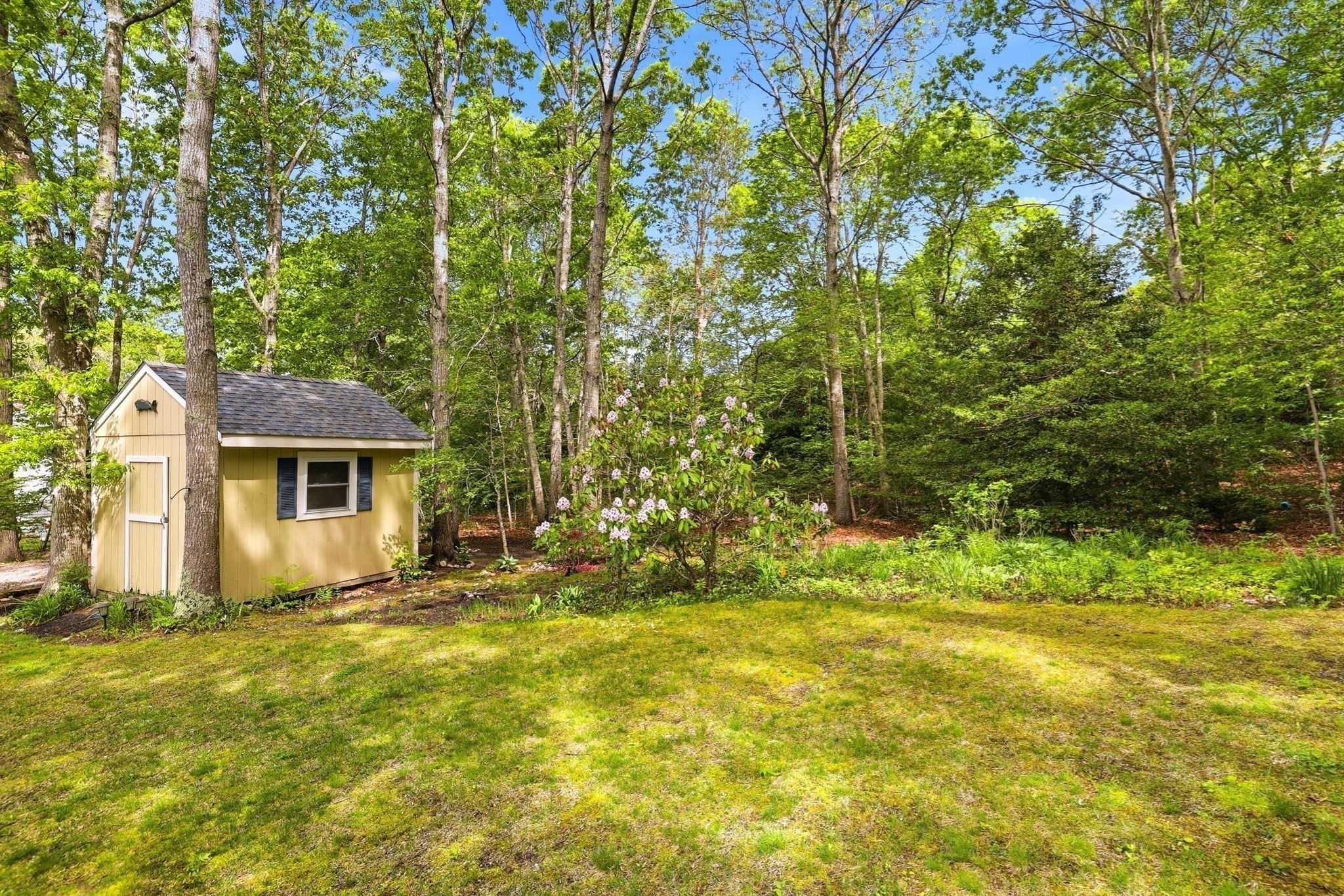 main property photo 29