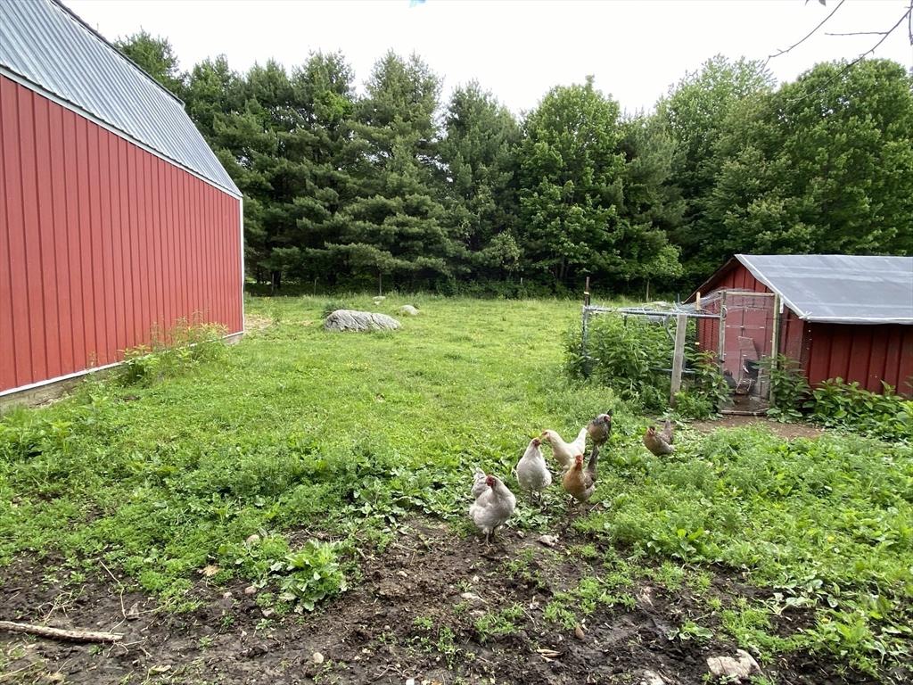 main property photo 19